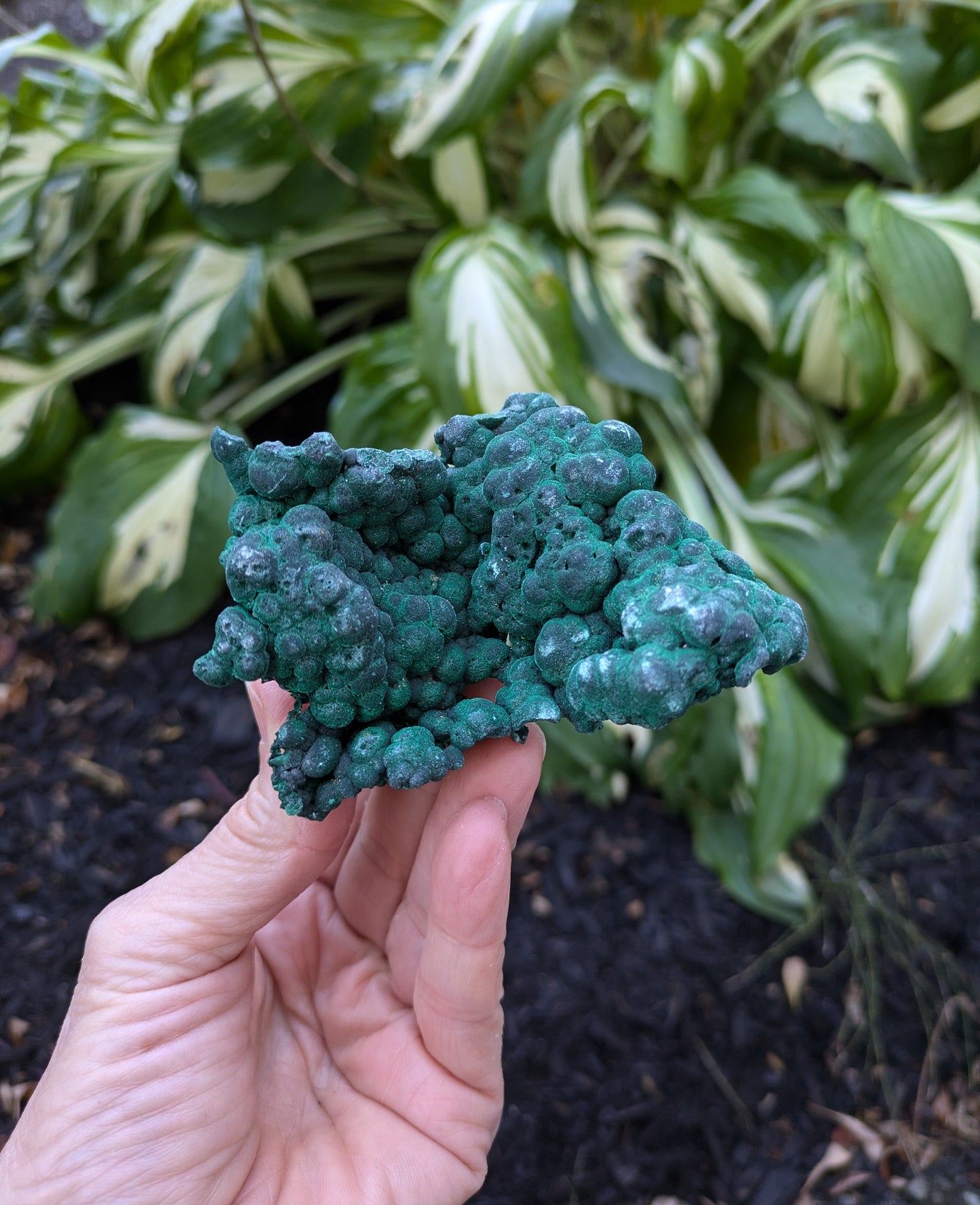 Malachite from Shaba, Zaire