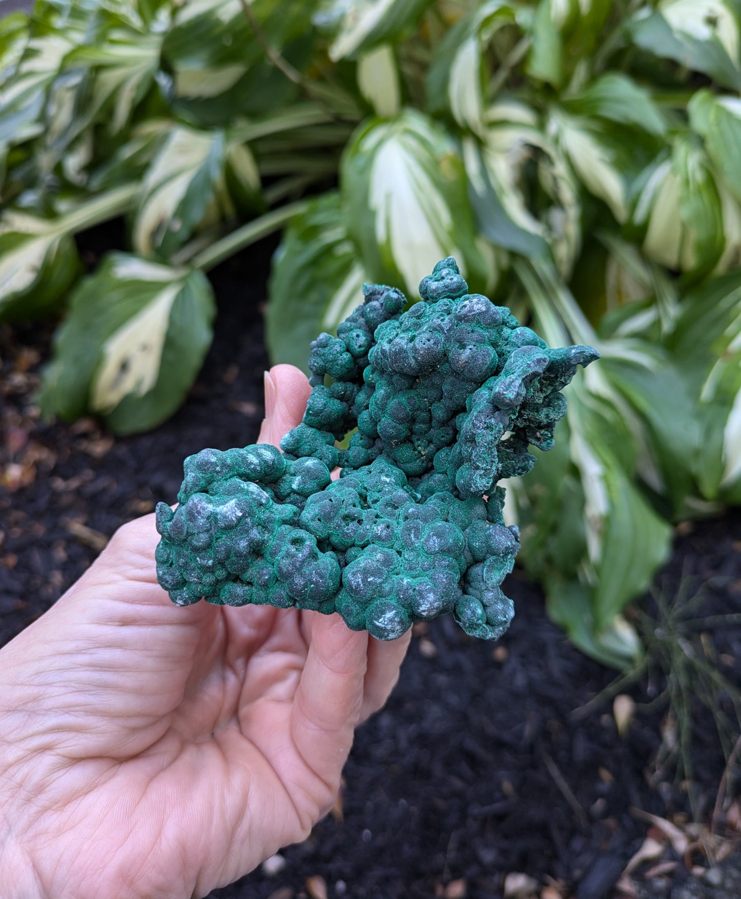 Malachite from Shaba, Zaire