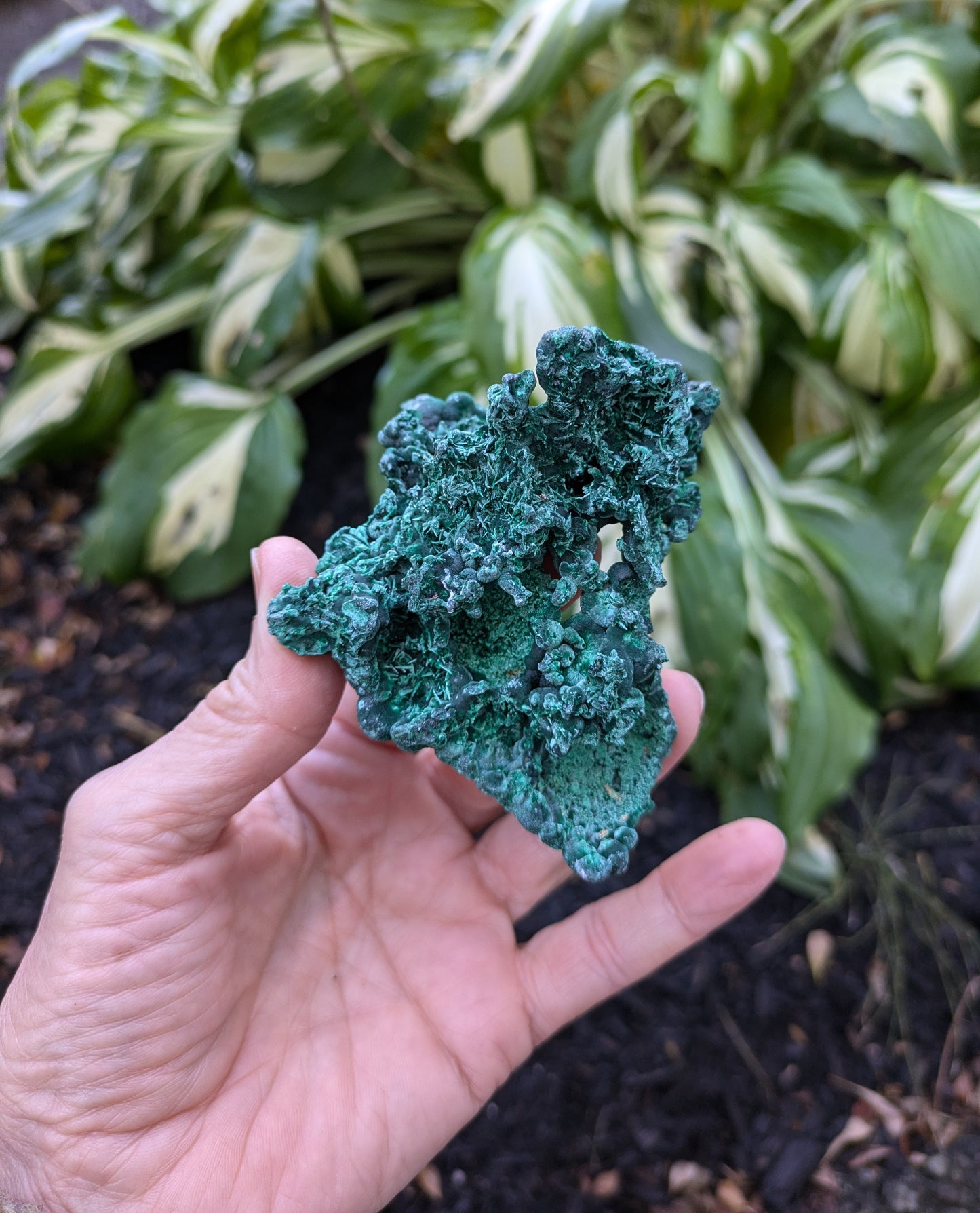 Malachite from Shaba, Zaire