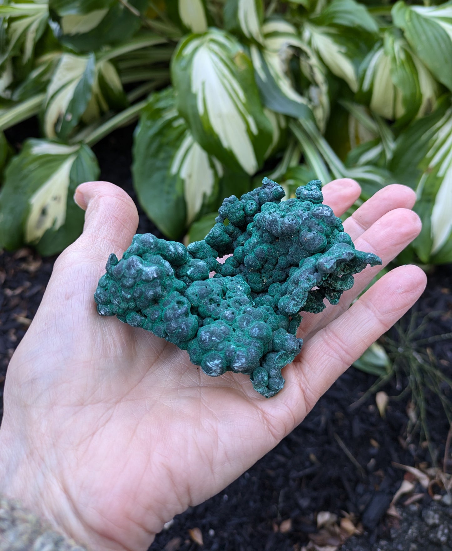 Malachite from Shaba, Zaire