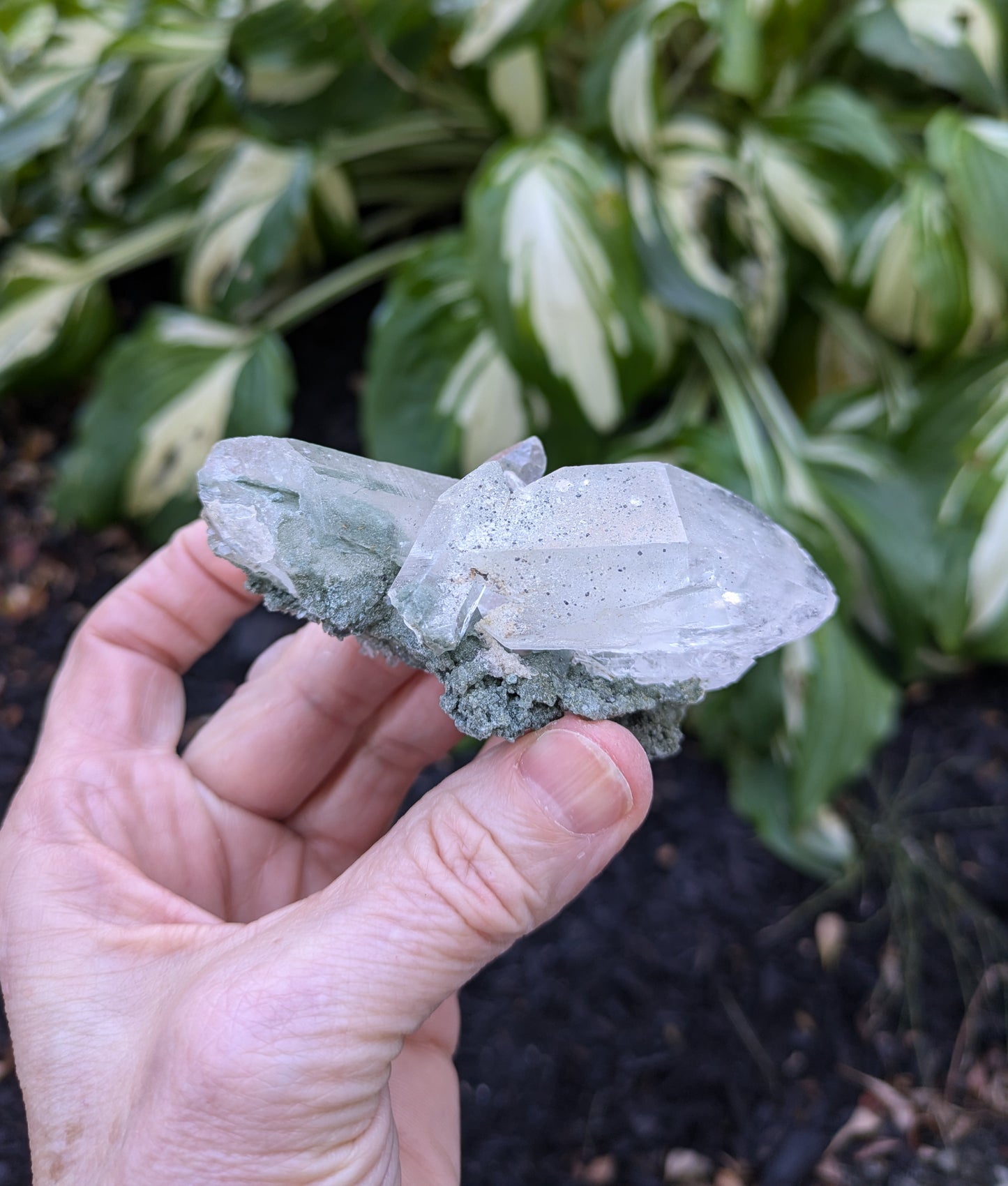 Himalayan Quartz Cluster with Clinochlore from Himachal Pradesh, India