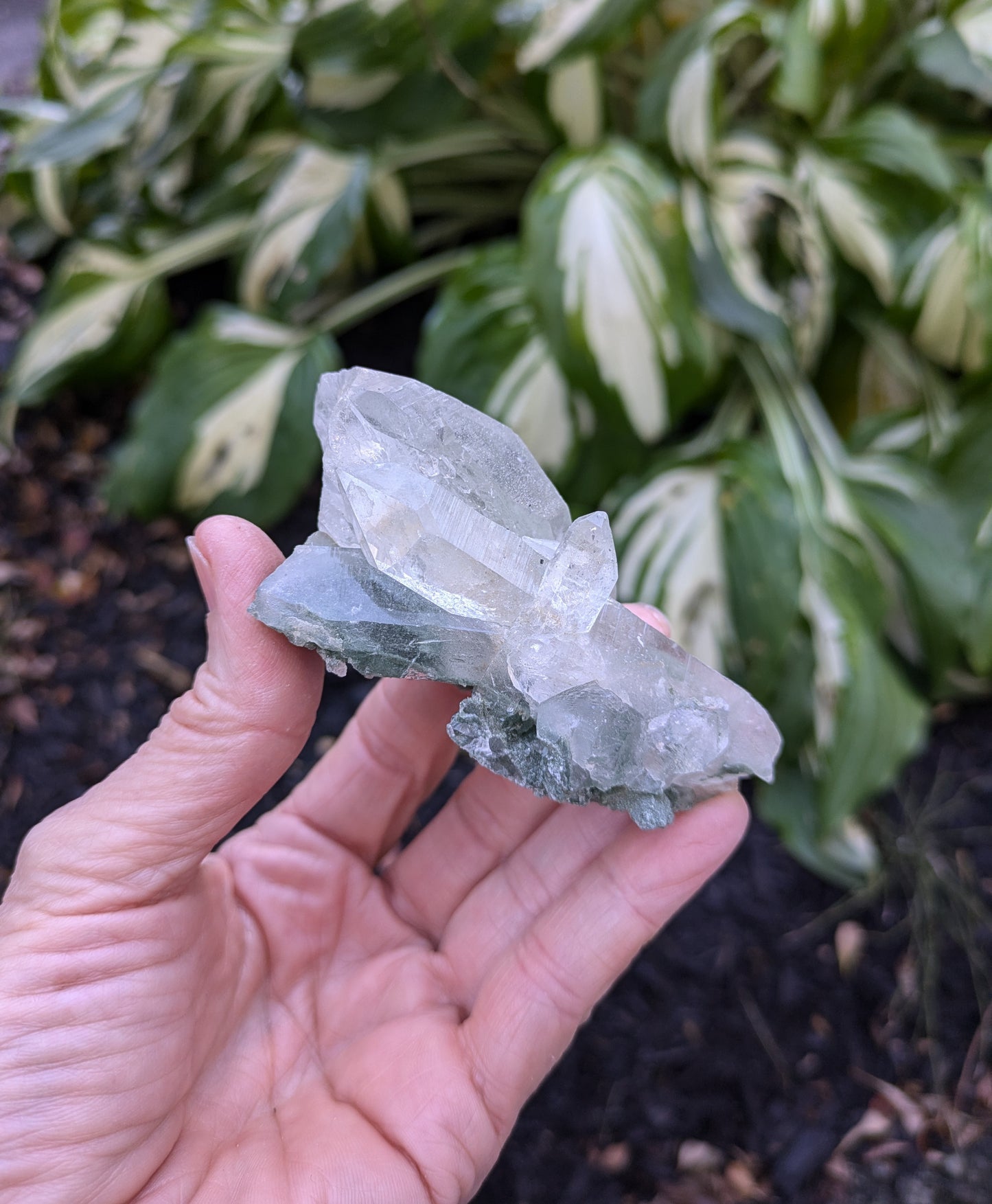 Himalayan Quartz Cluster with Clinochlore from Himachal Pradesh, India