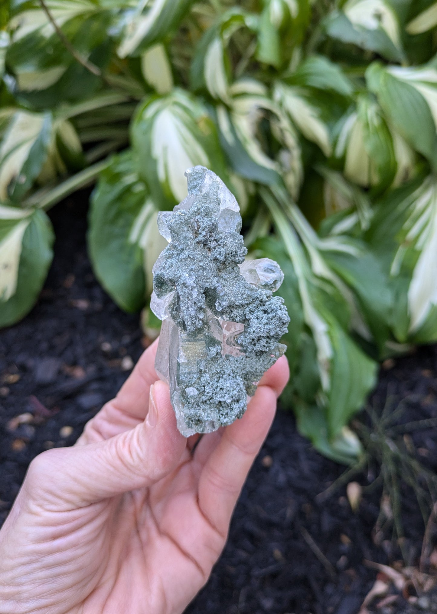 Himalayan Quartz Cluster with Clinochlore from Himachal Pradesh, India