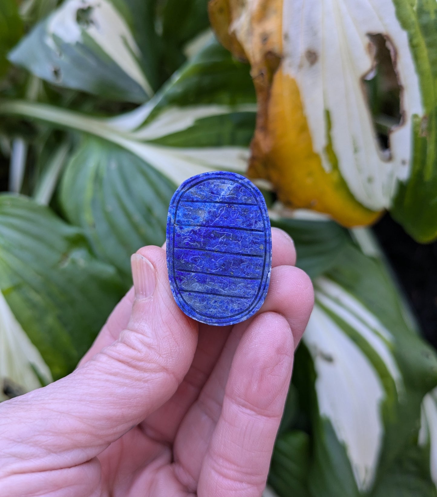 Lapis Lazuli Scarab Beetle Carving from Pakistan