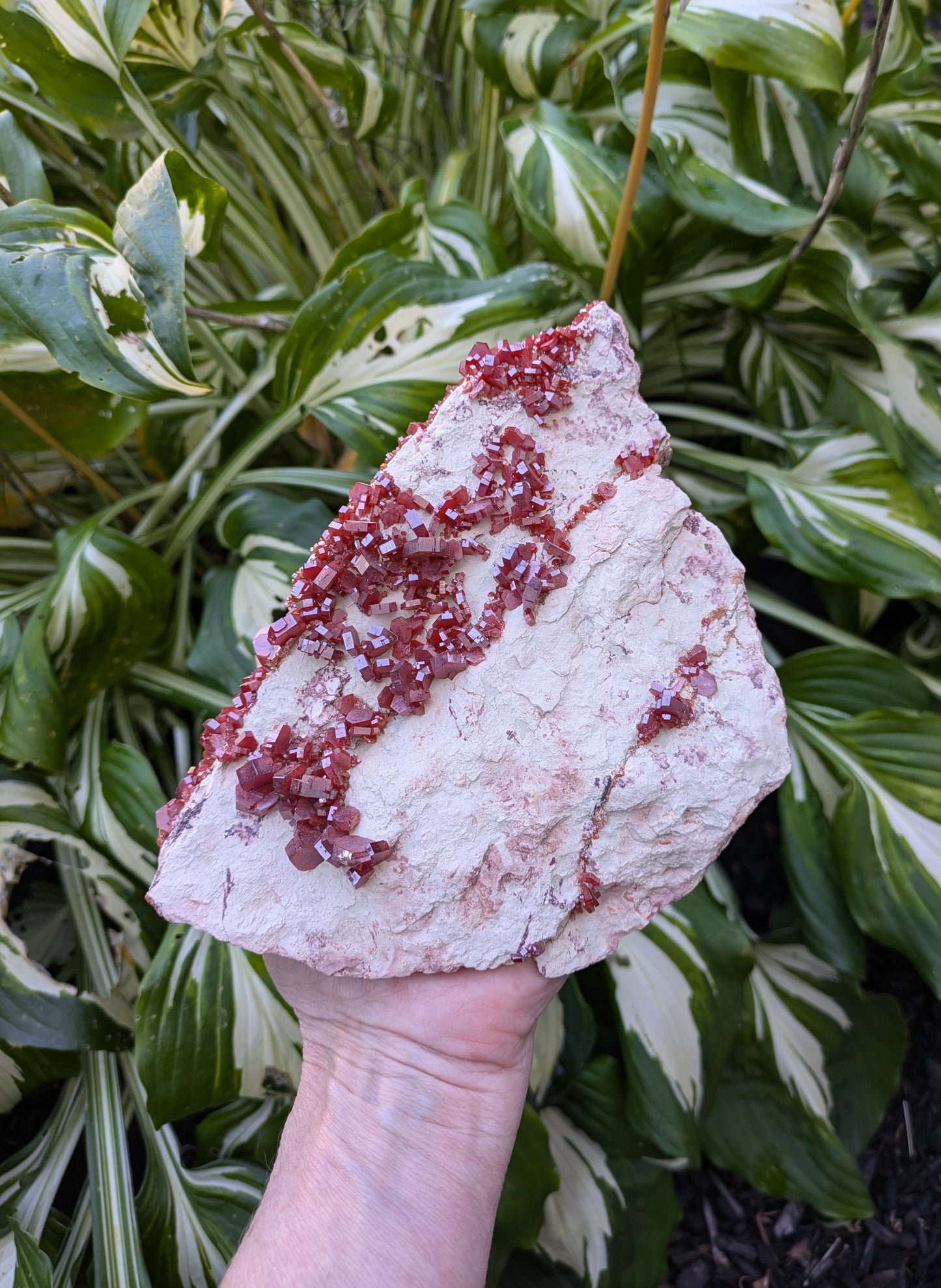 Vanadinite from Morocco