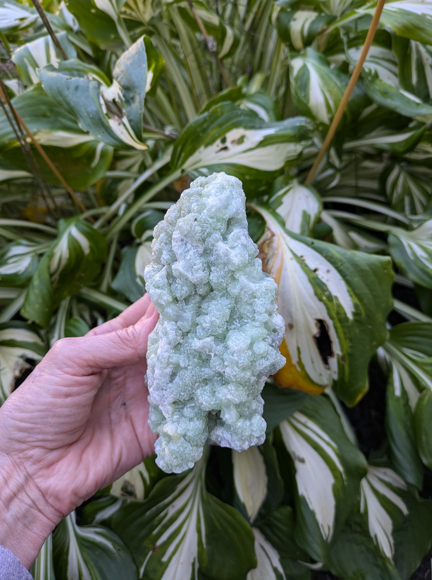 Prehnite from Morocco