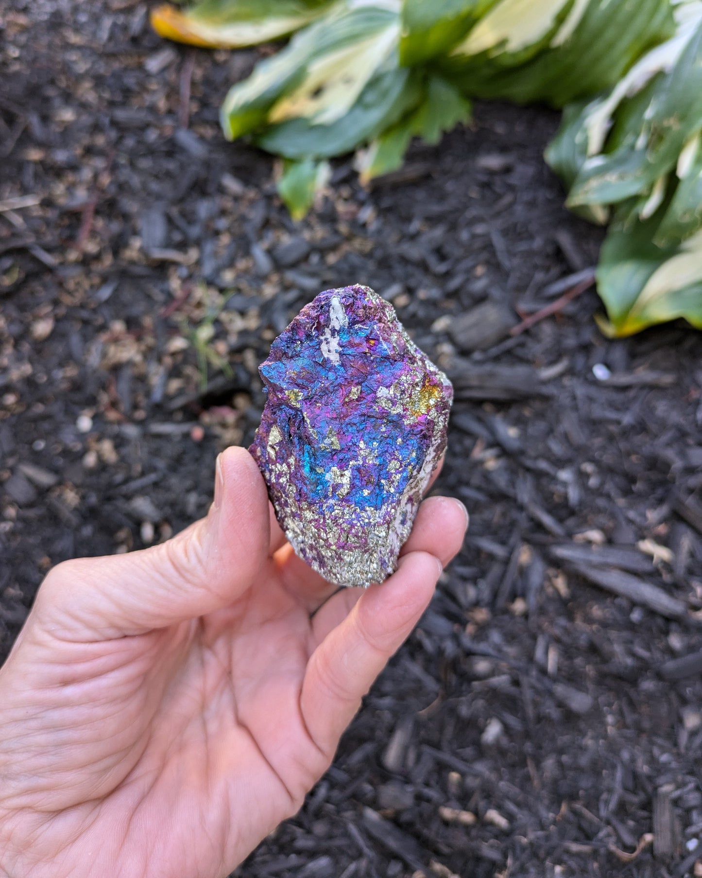 Bornite (Peacock Ore) from Mexico
