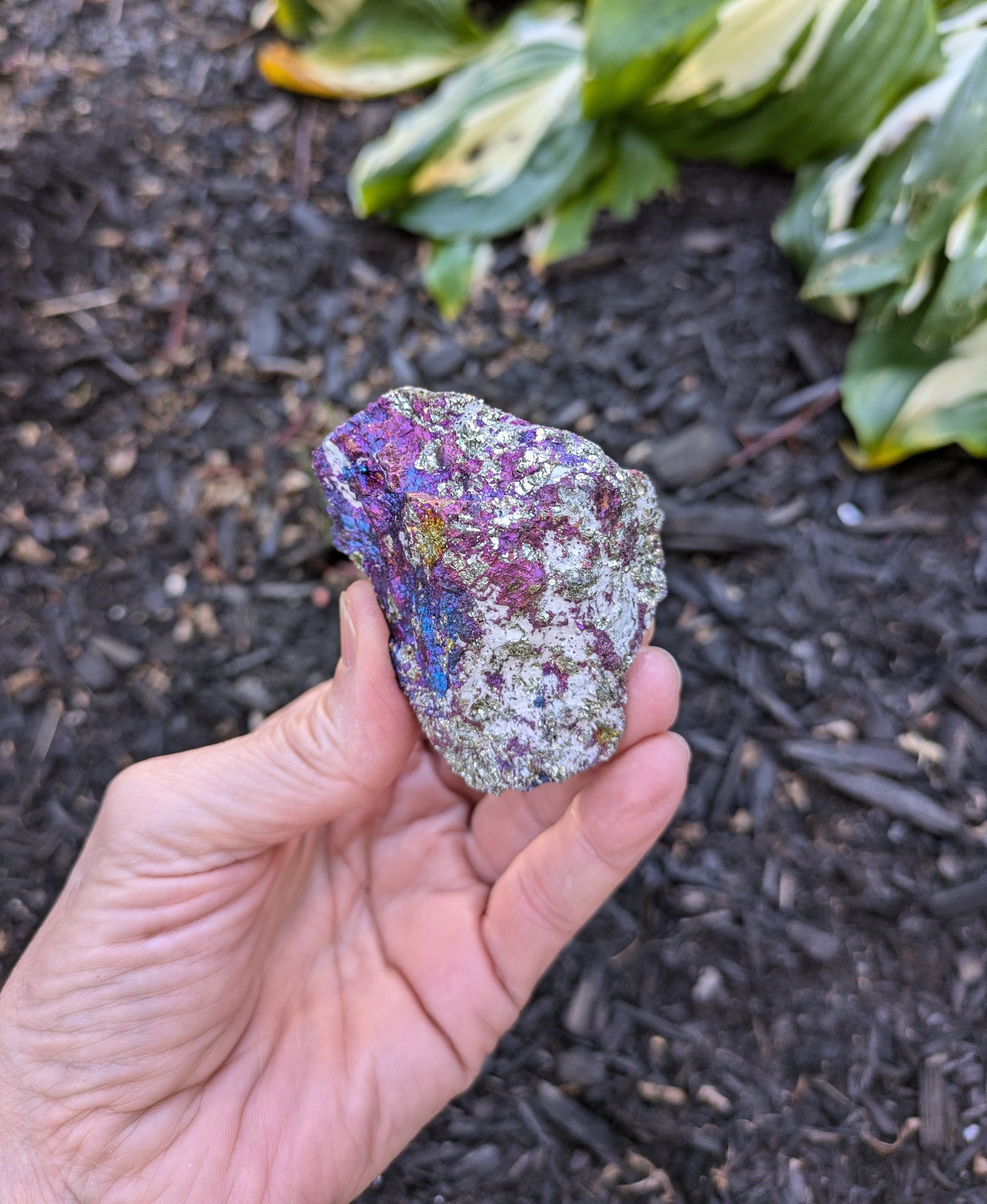 Bornite (Peacock Ore) from Mexico