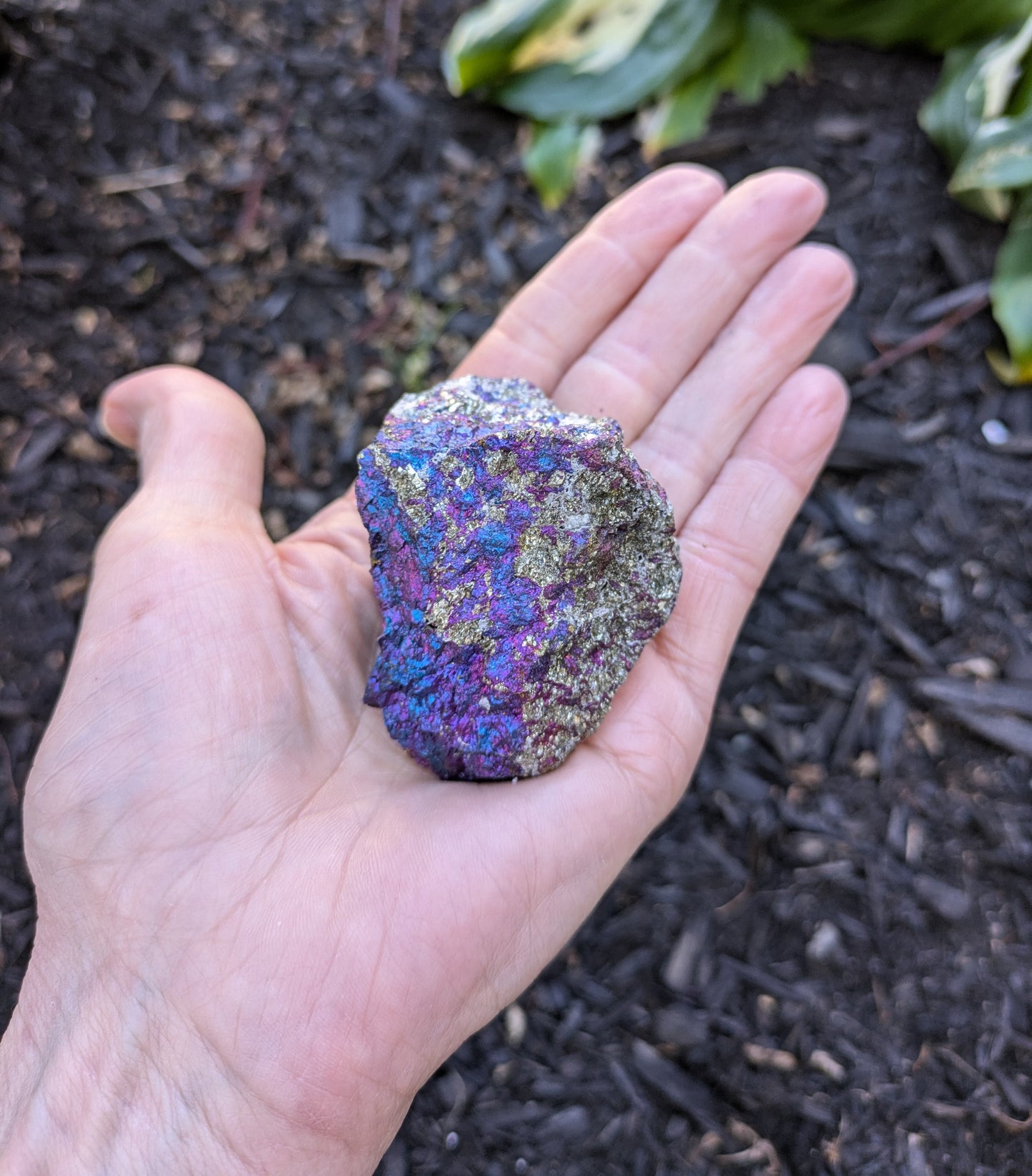 Bornite (Peacock Ore) from Mexico