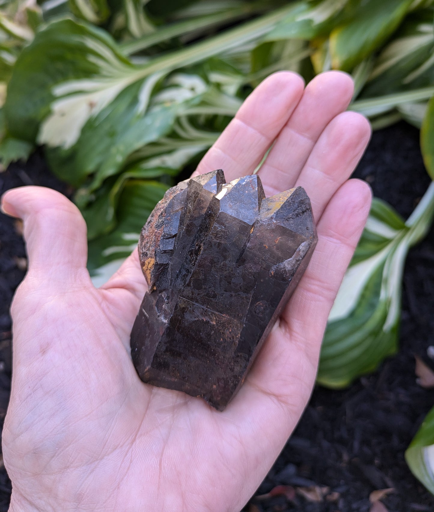 Smokey Citrine from Diamantina, Brazil