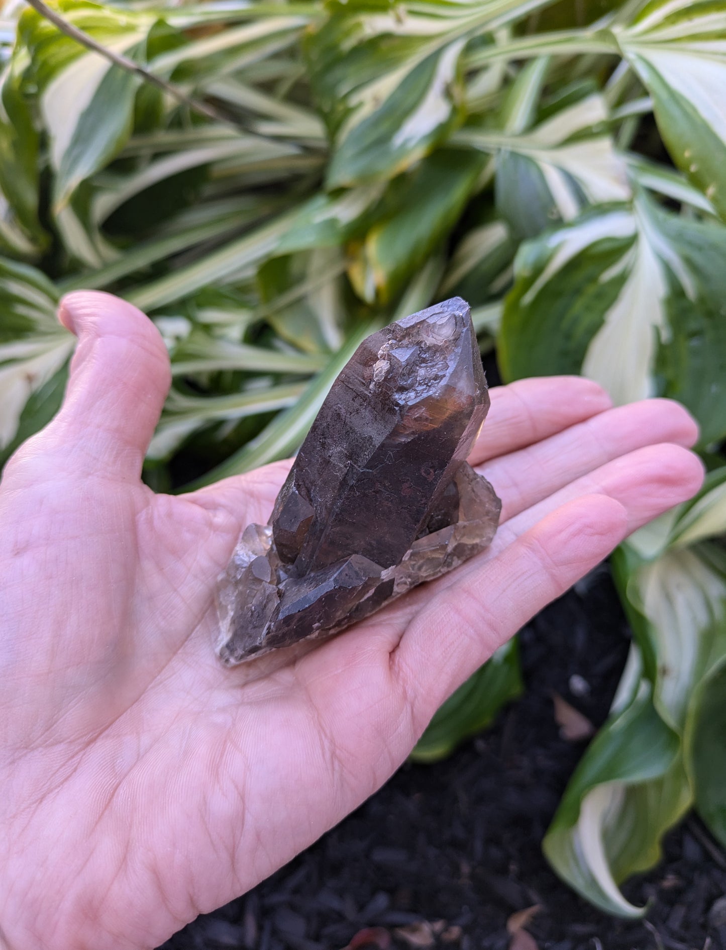 Smokey Citrine from Diamantina, Brazil