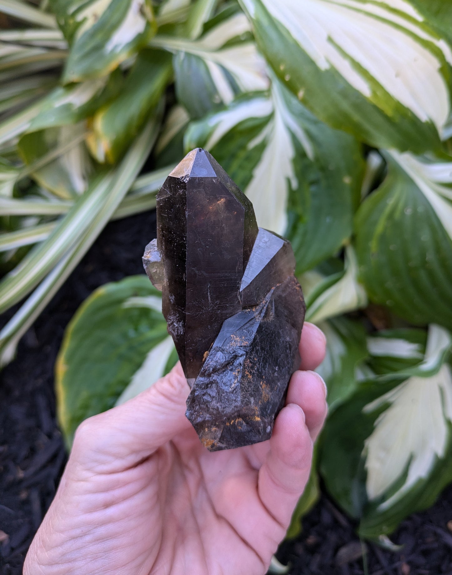 Smokey Citrine from Diamantina, Brazil