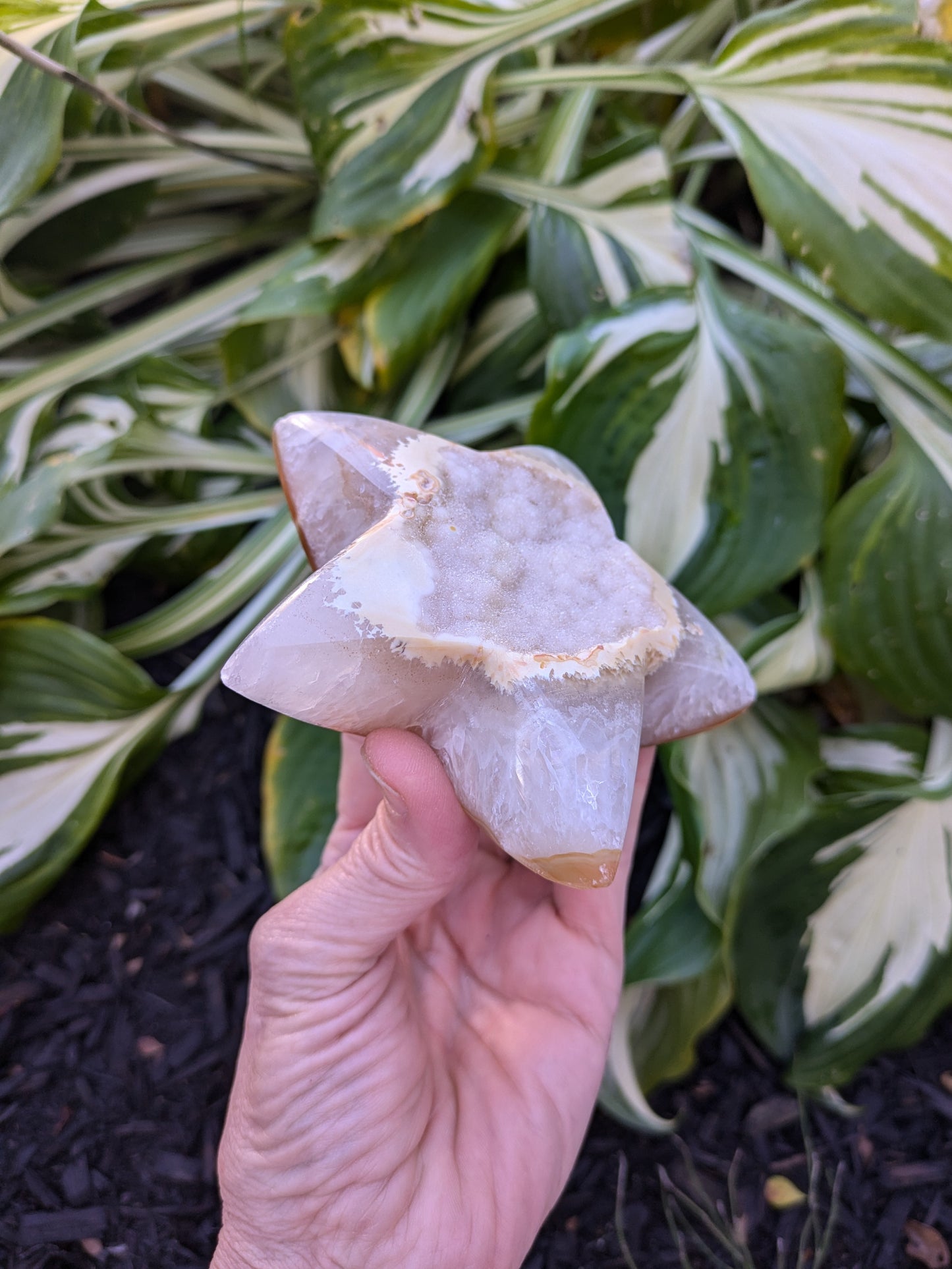 Agate and Quartz Drusy Star from Brazil