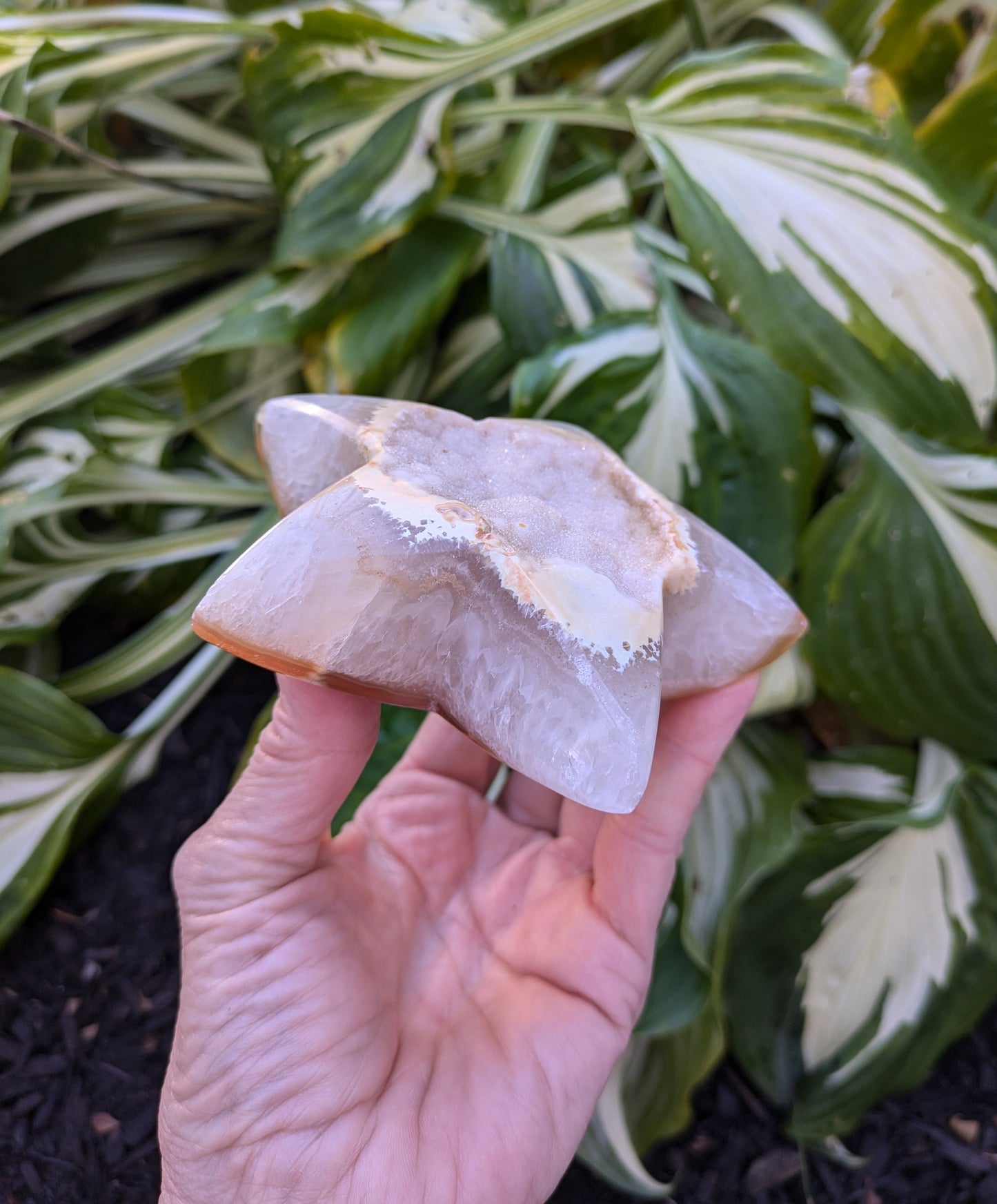 Agate and Quartz Drusy Star from Brazil