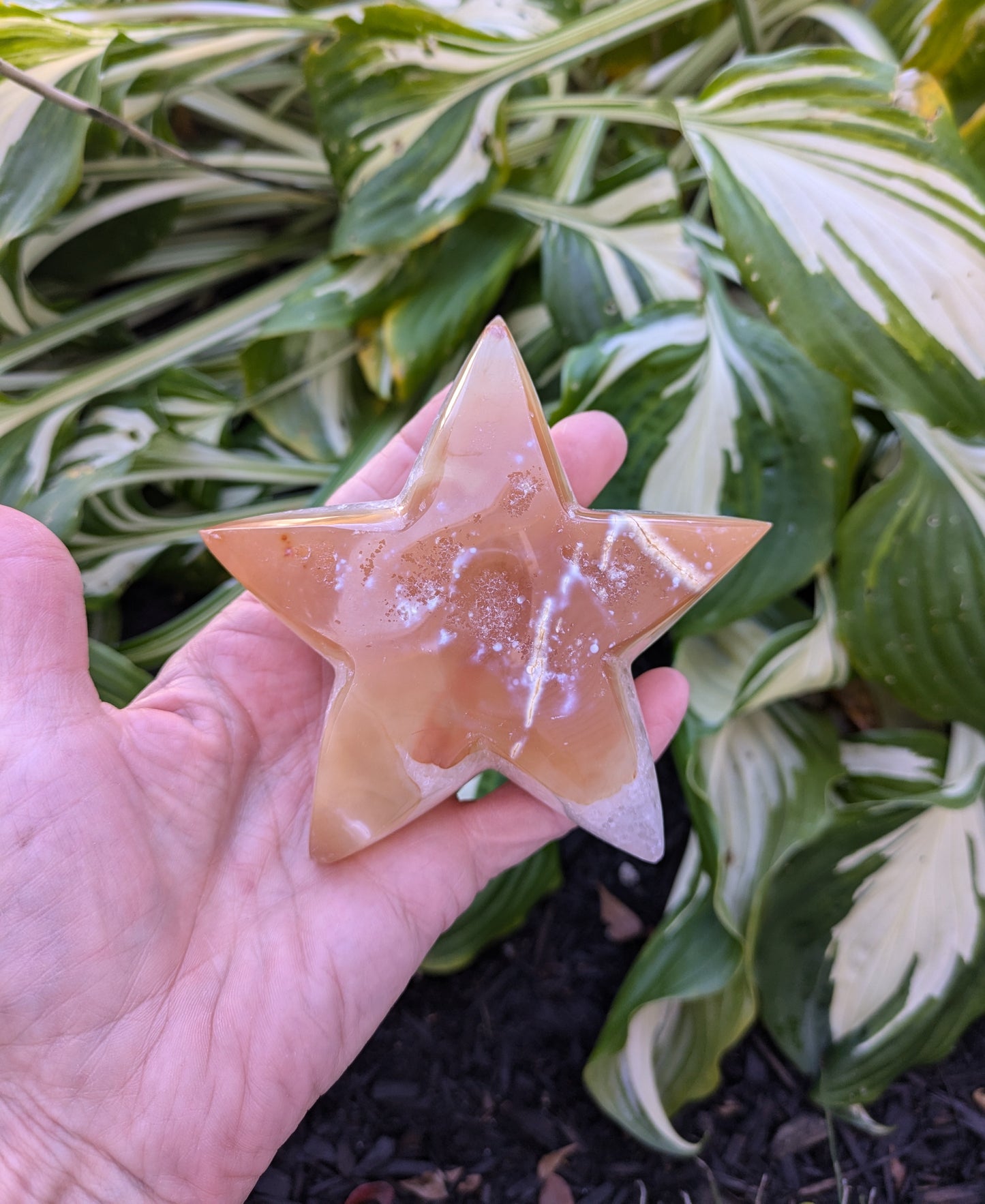 Agate and Quartz Drusy Star from Brazil