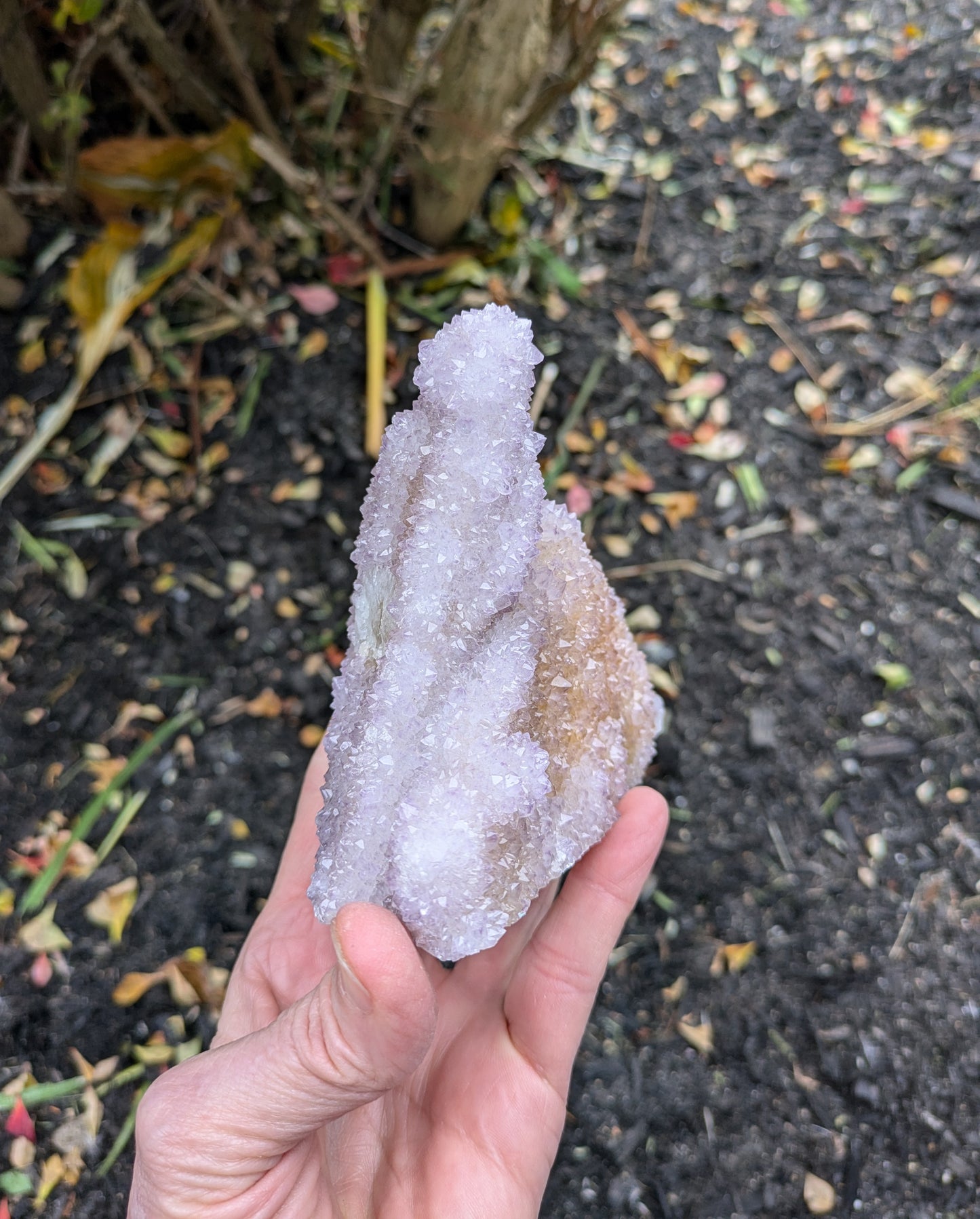 Spirit Cactus Quartz from Rep. South Africa