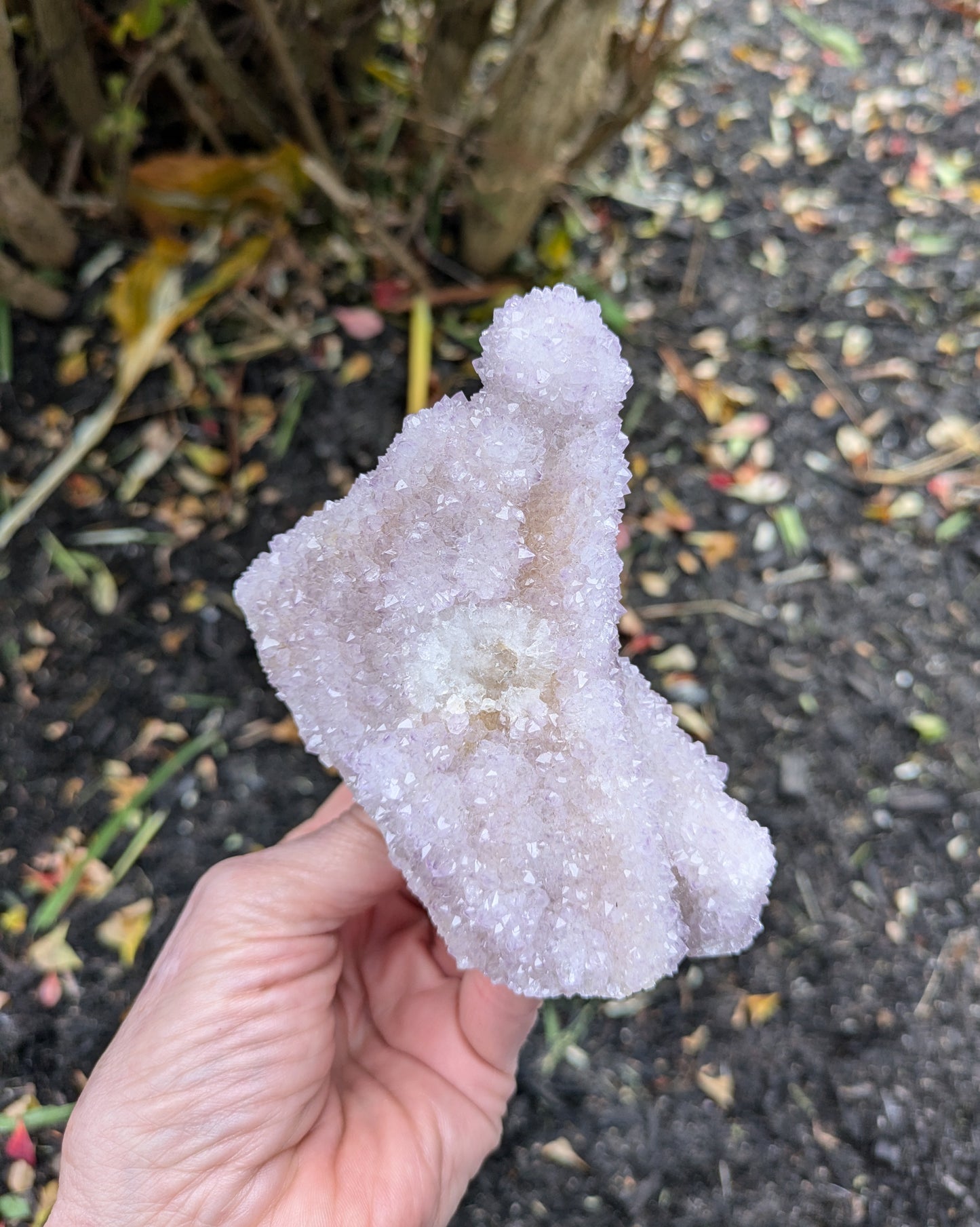 Spirit Cactus Quartz from Rep. South Africa