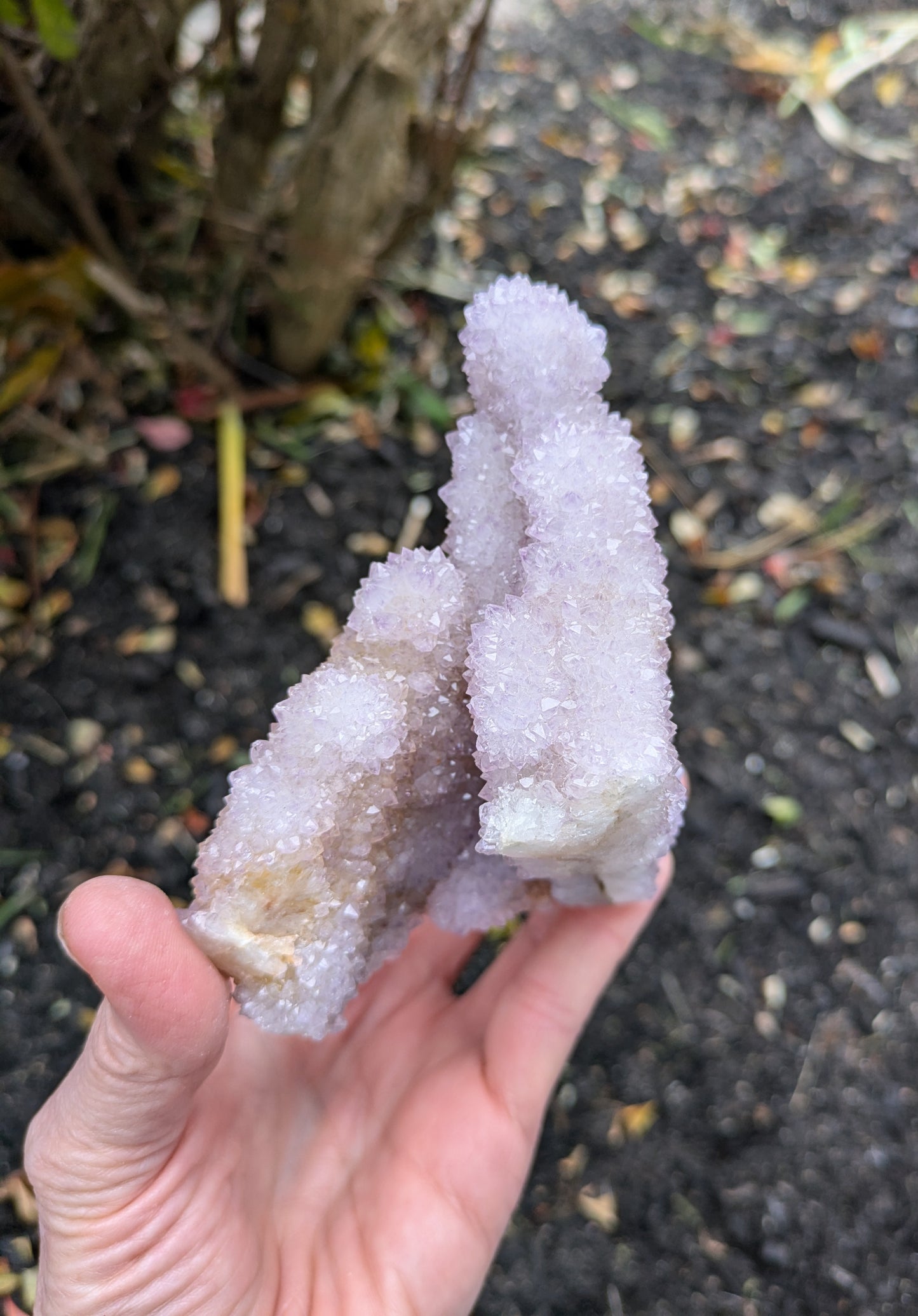 Spirit Cactus Quartz from Rep. South Africa