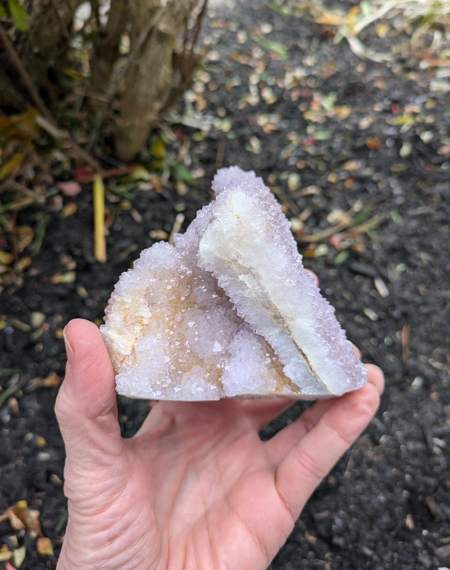 Spirit Cactus Quartz from Rep. South Africa