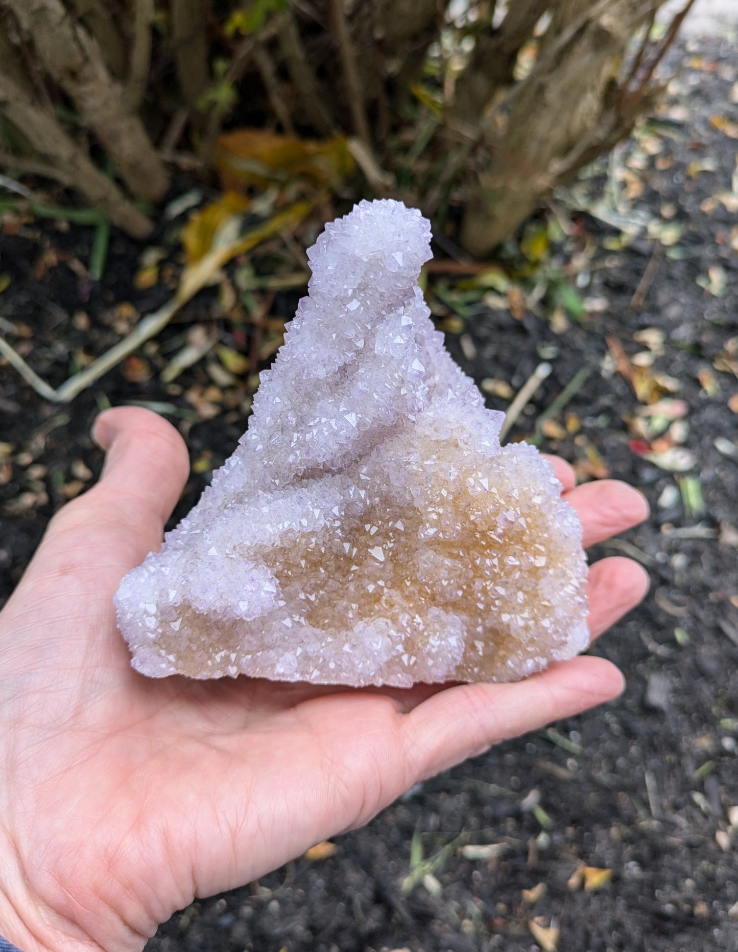 Spirit Cactus Quartz from Rep. South Africa