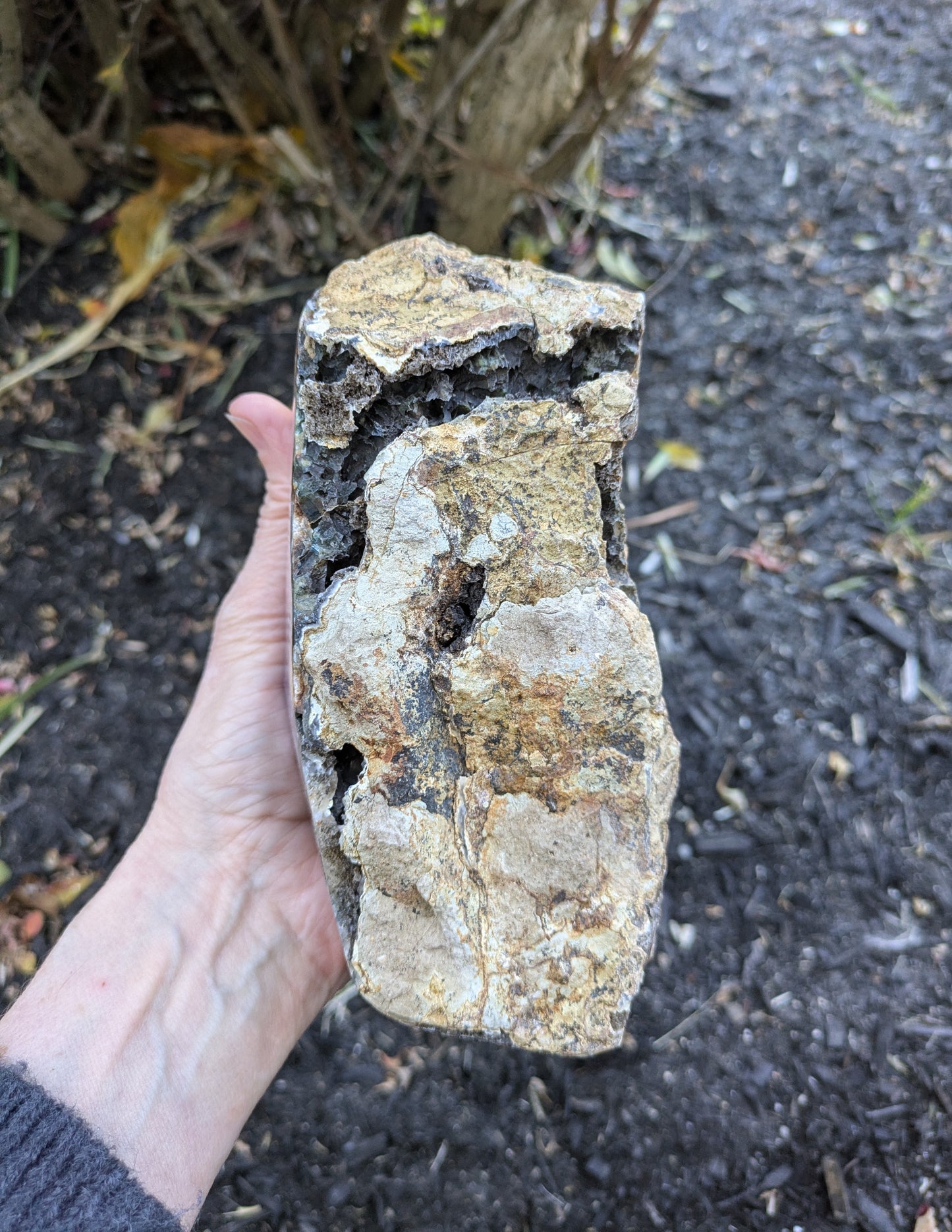 Grape Amethyst Geode from Brazil
