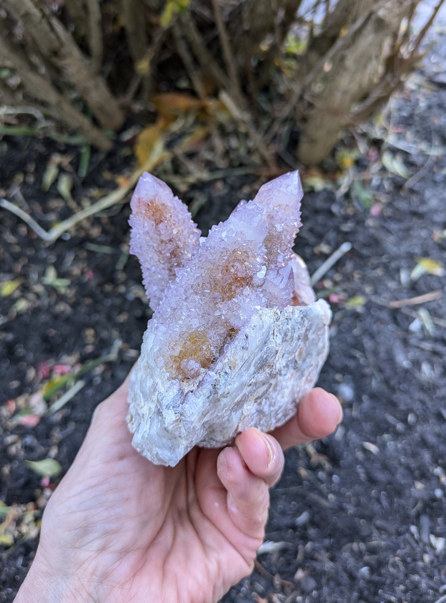 Spirit Cactus Quartz from Rep. South Africa