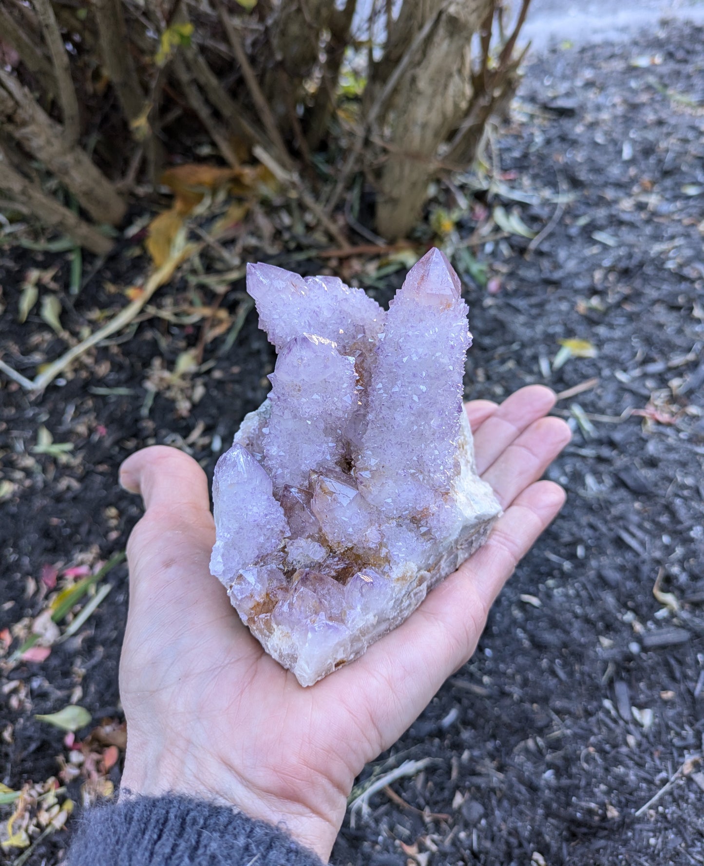 Spirit Cactus Quartz from Rep. South Africa