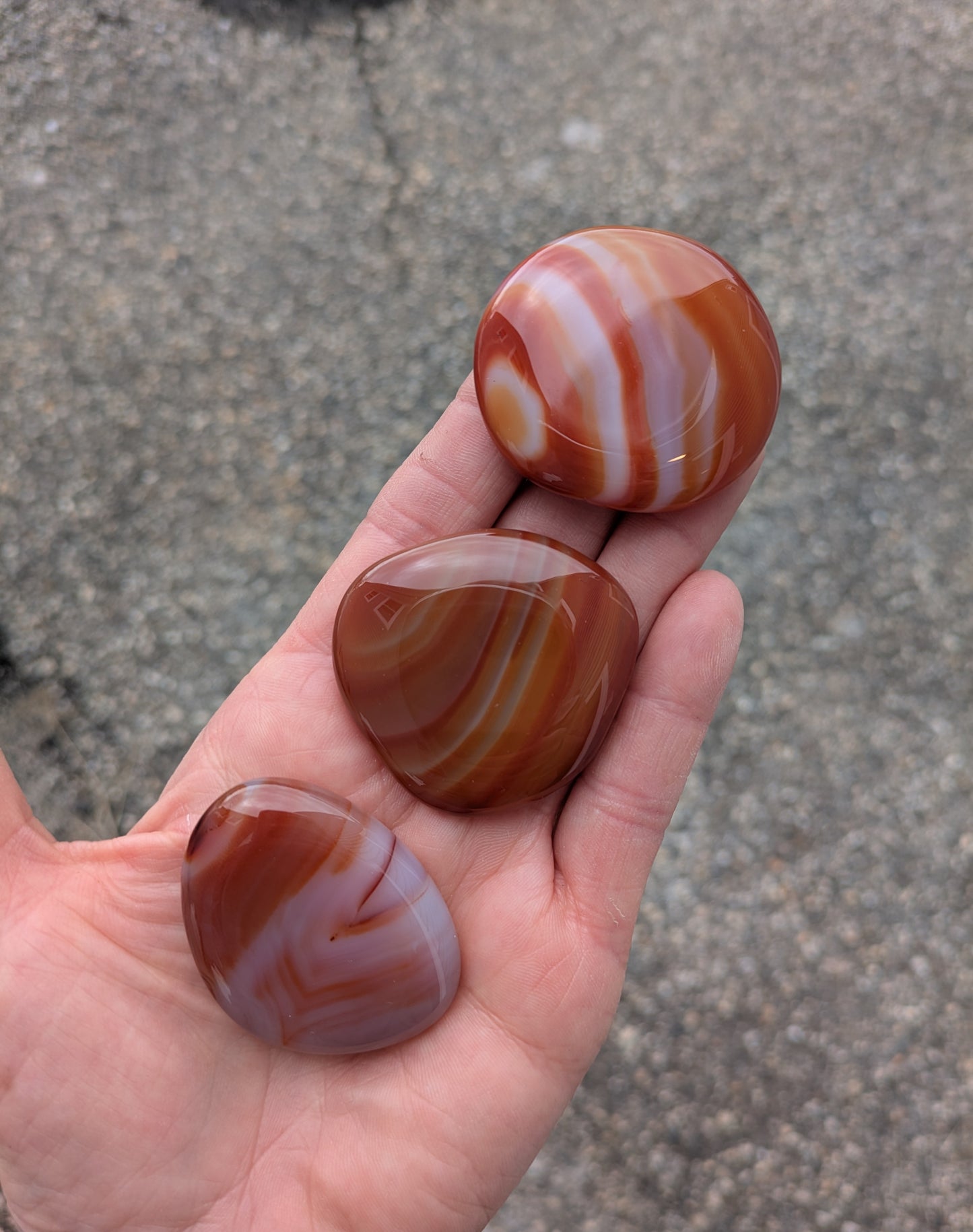 Carnelian Pocket Stone and Lavish Earth Crystal Affirmation Card