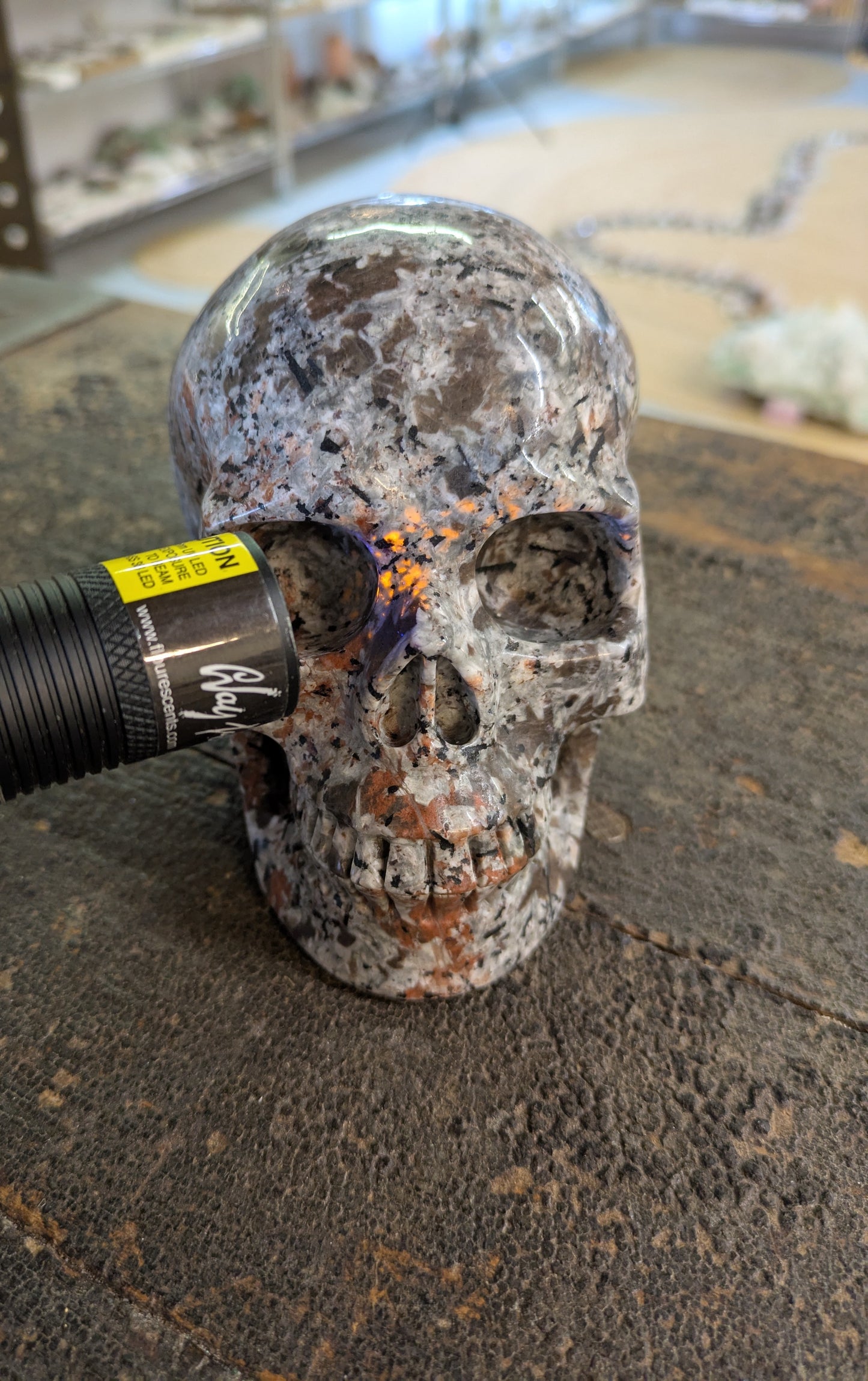 Yooperite Skull, Carved in China