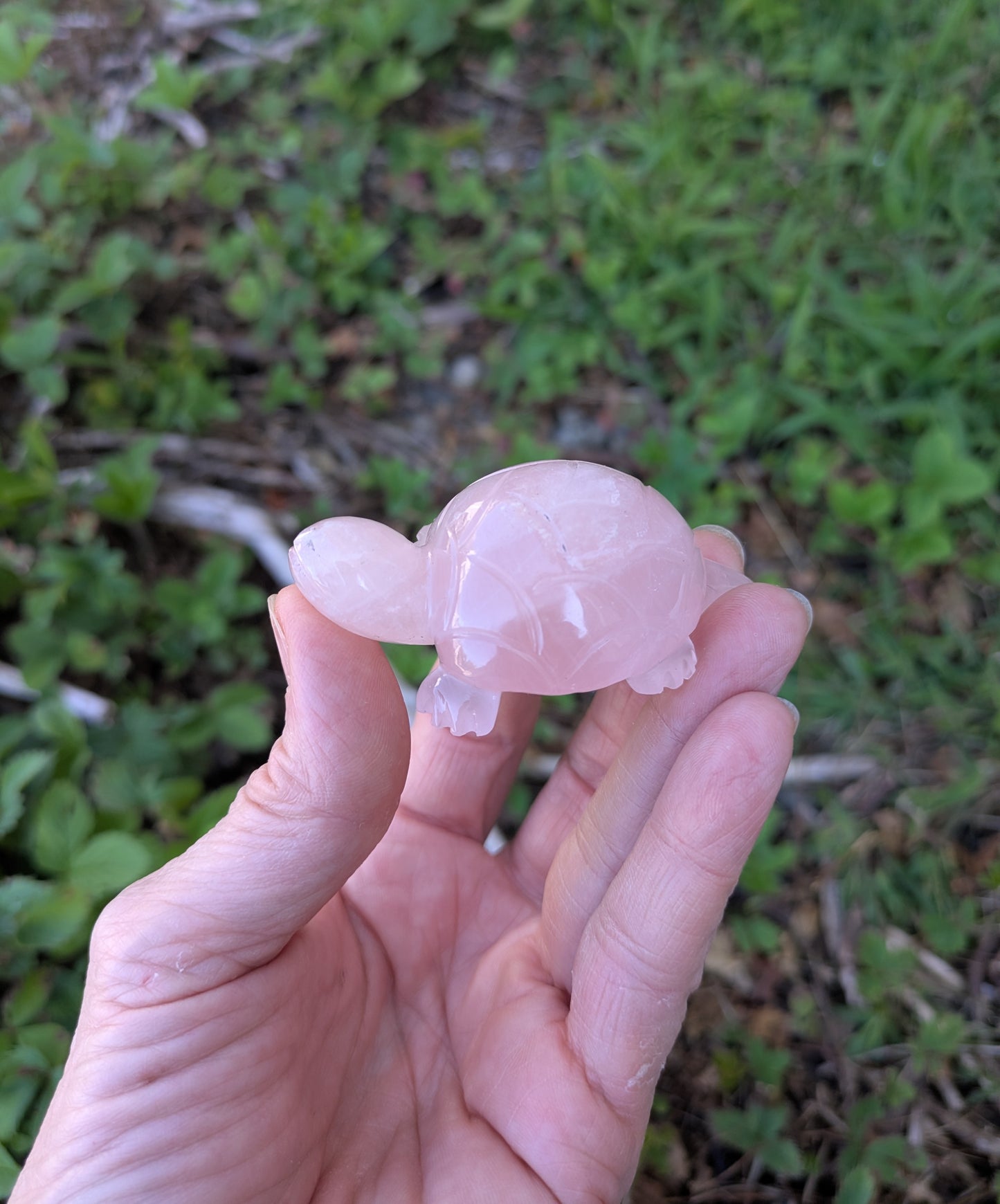 Rose Quartz Turtle Carved India (S-2)