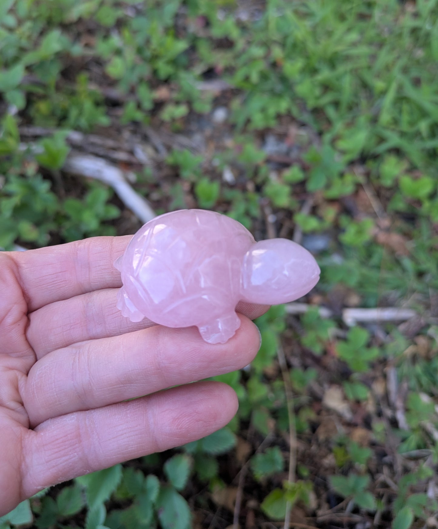 Rose Quartz Turtle Carved India (S-3)