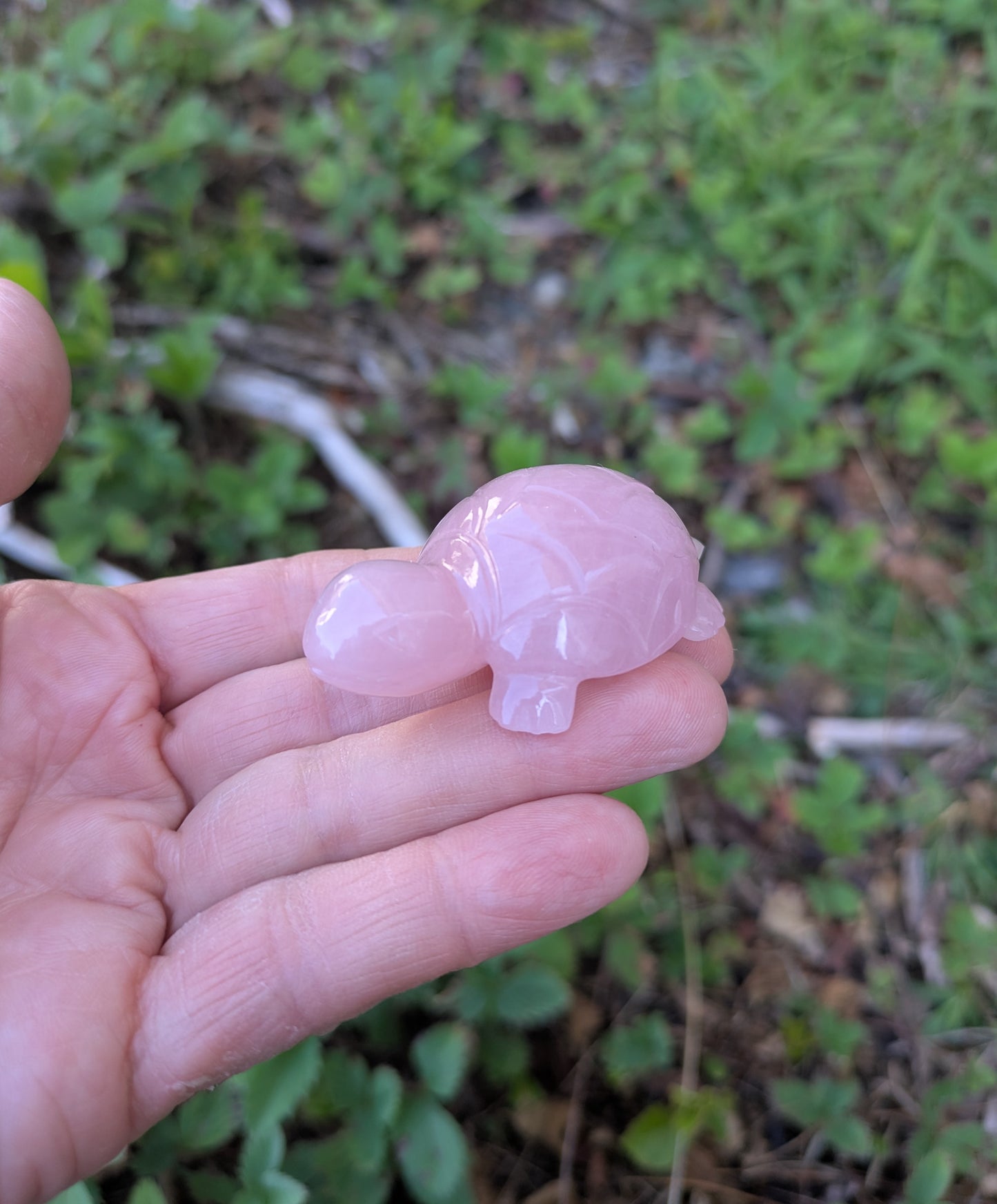 Rose Quartz Turtle Carved India (S-3)
