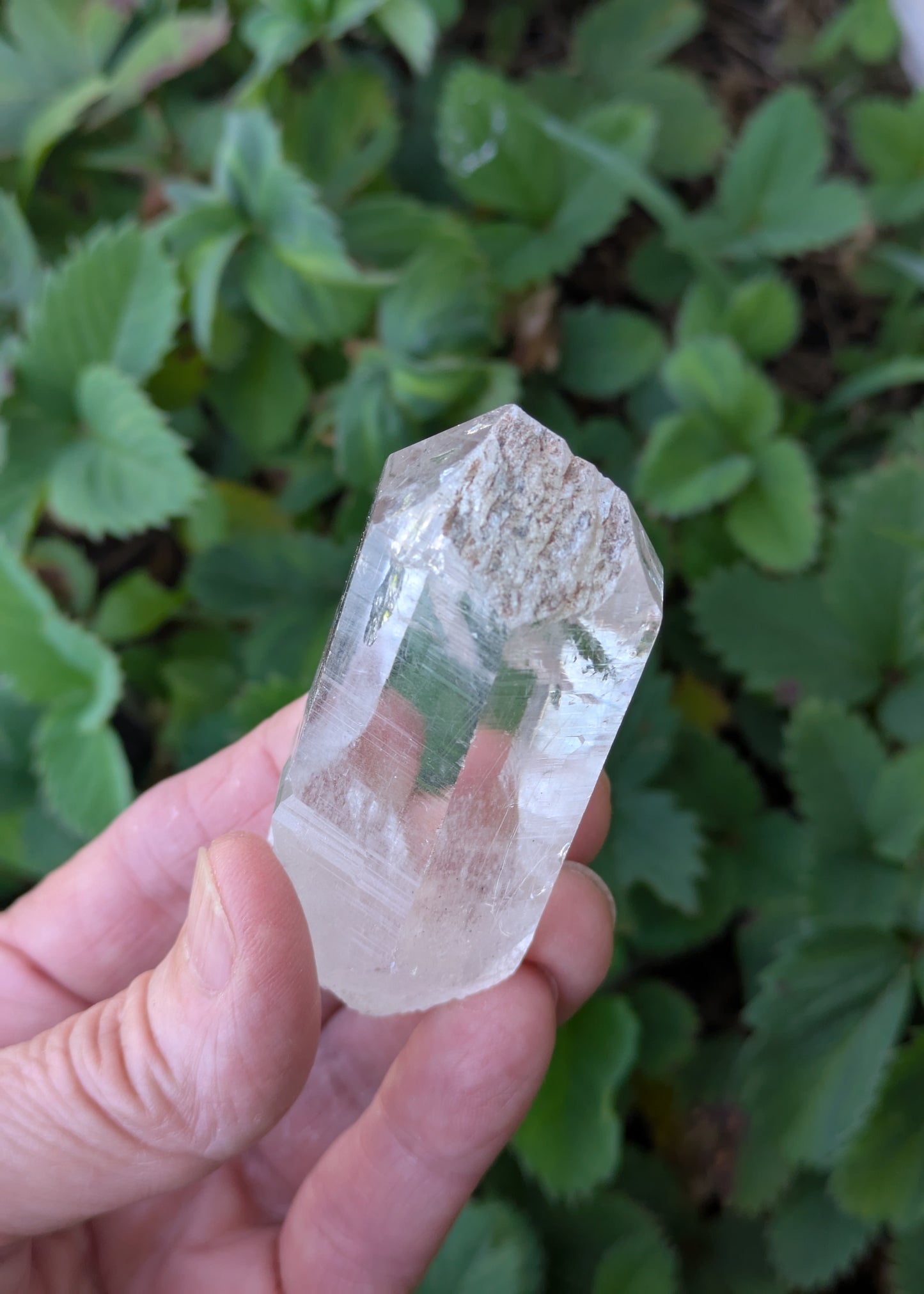 Himalayan Quartz Point from India