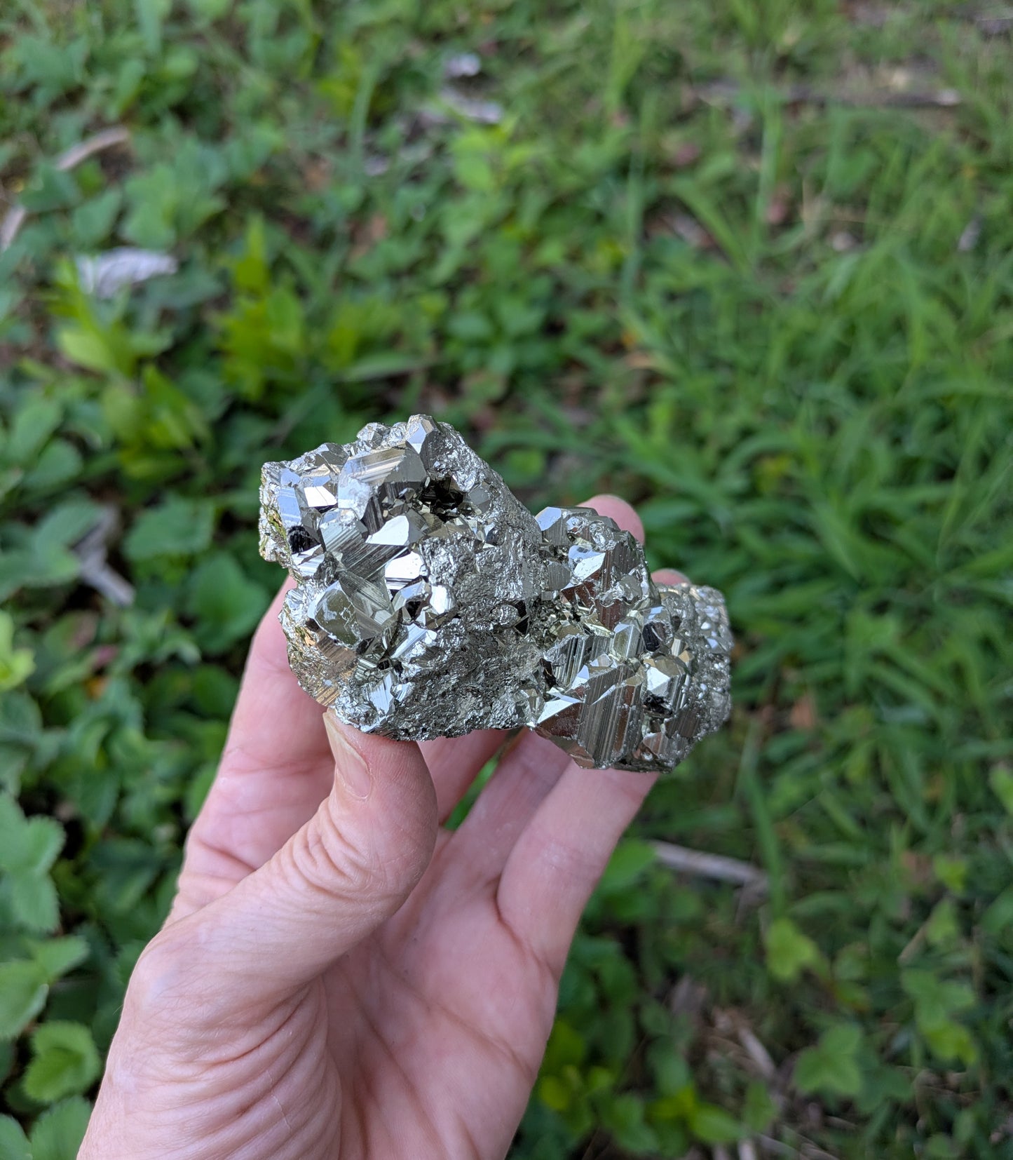 Pyrite from Huanzala Mine, Peru