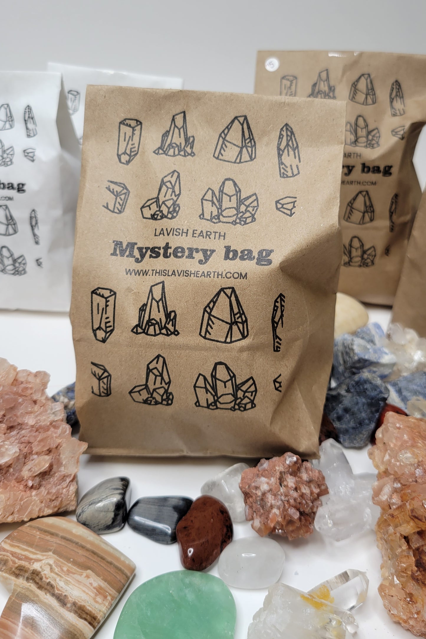 Mystery Bag! Large 15.00