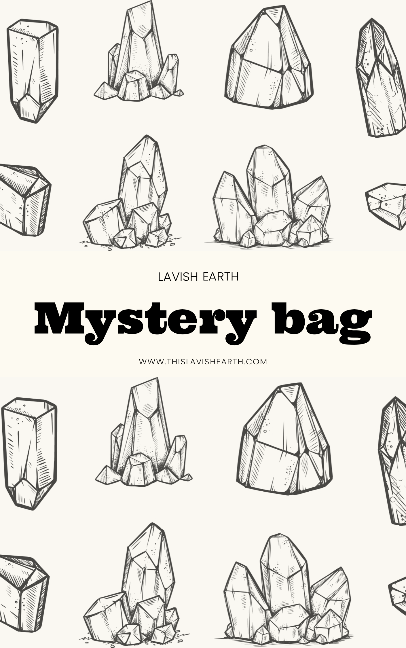 Mystery Bag! Small 10.00