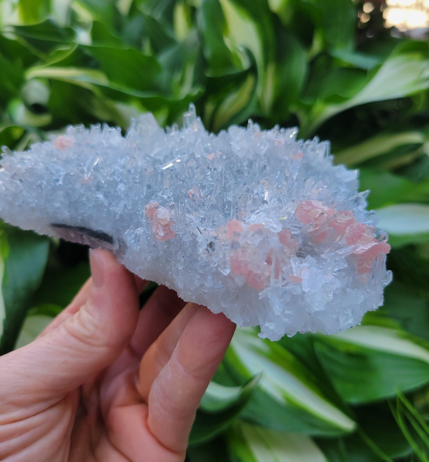 Quartz and Rhodochrosite Cluster from China