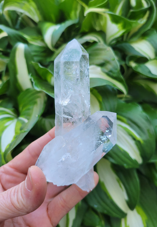 Quartz, Tantric Twin, and Self Healed from Colombia