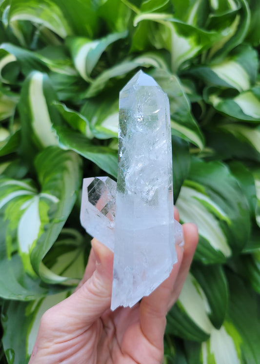 Quartz, Tantric Twin, and Self Healed from Colombia