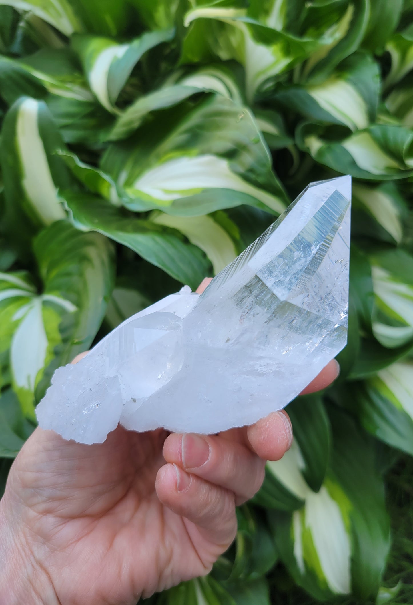 Quartz (Lemurian) Cluster from Colombia