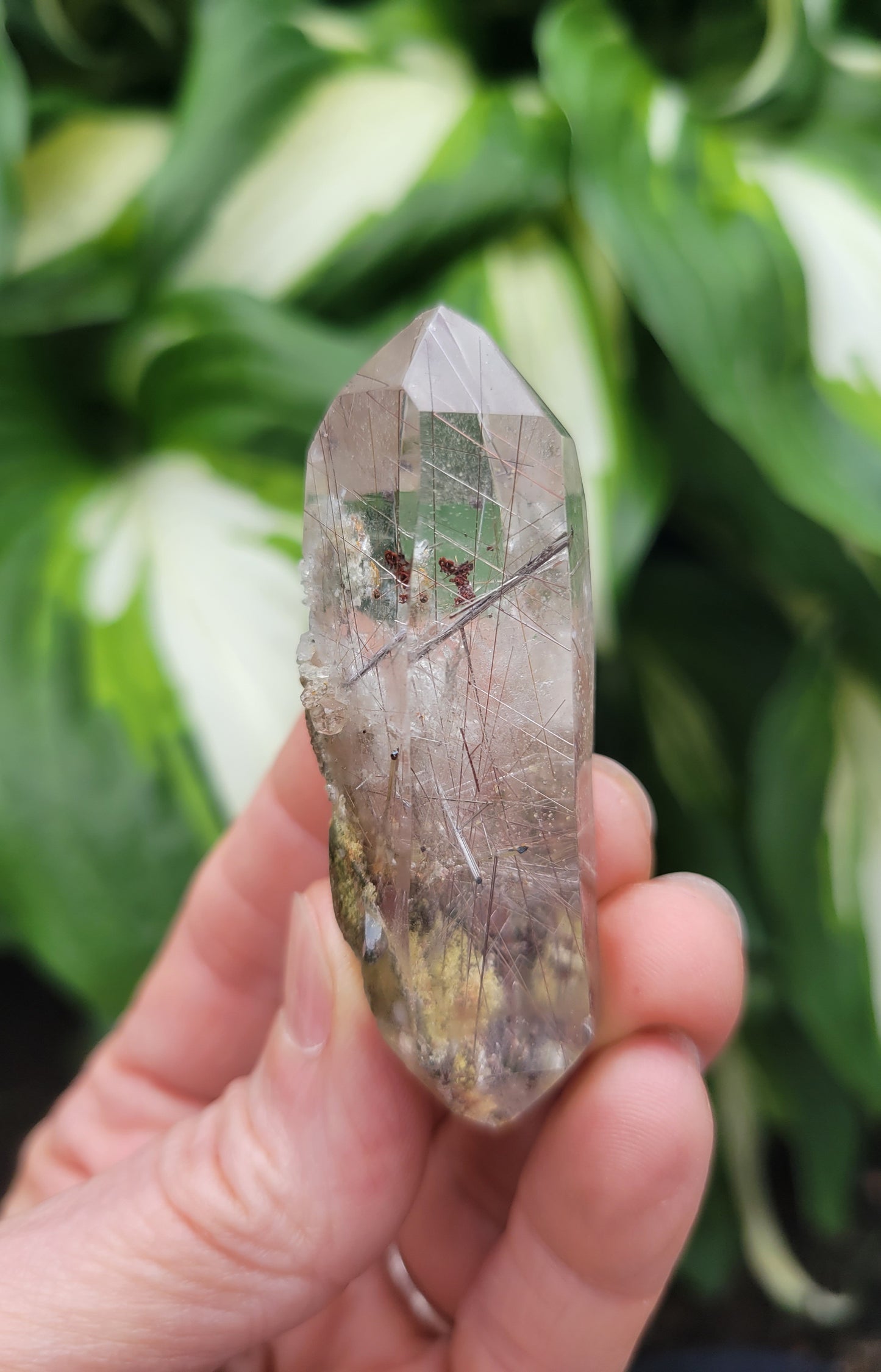 Rutilated and Double Terminated Polished Quartz from Brazil (W 3/4 X D 7/8 X H 2 3/8 inches)