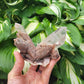 Himalayan Samadhi Quartz Specimen from Himachal Pradesh, India (W 4 1/8 X D 3 1/4 X H 3 1/2 inches)