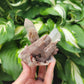 Himalayan Samadhi Quartz Specimen from Himachal Pradesh, India (W 4 1/8 X D 3 1/4 X H 3 1/2 inches)