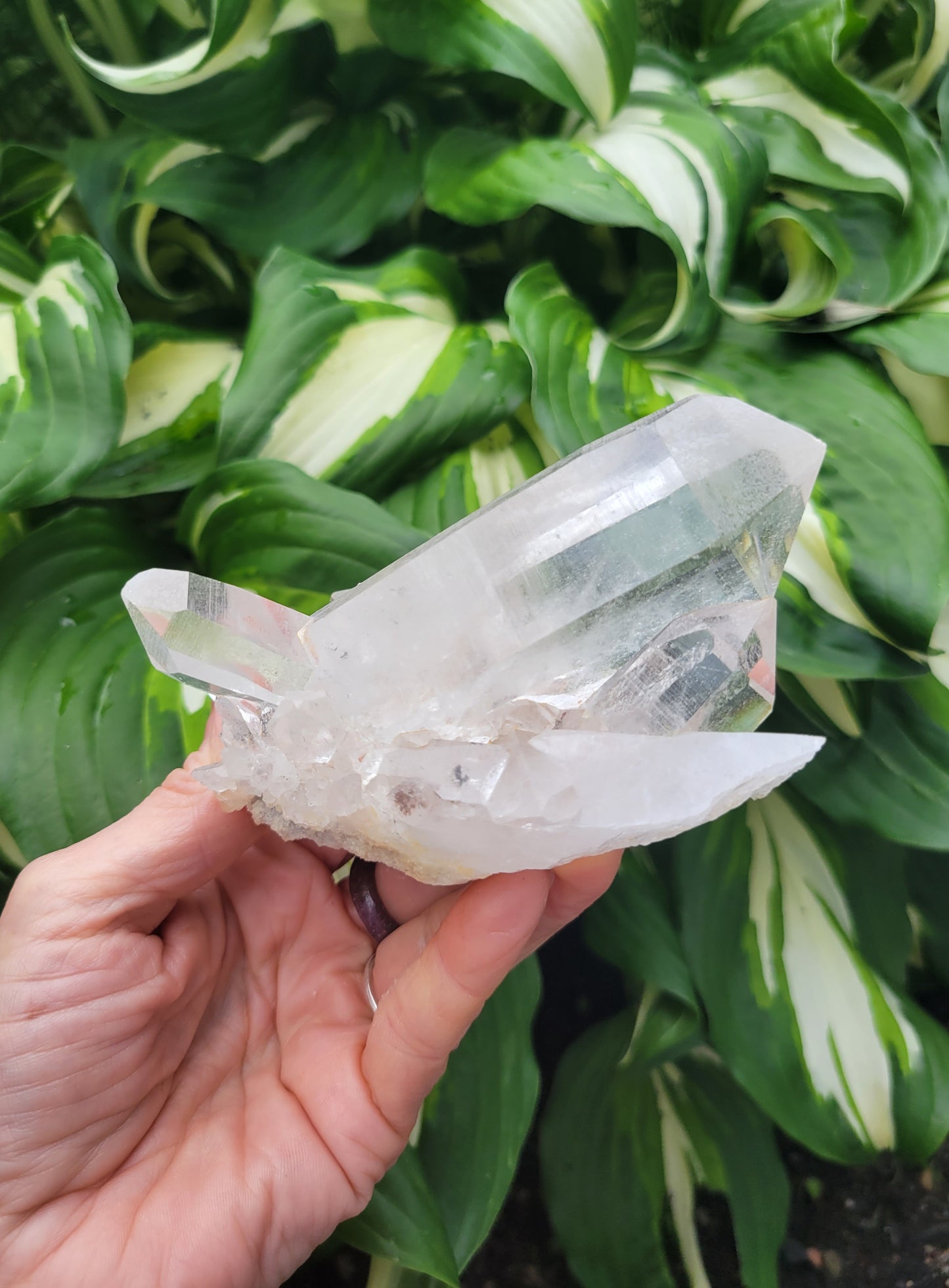 Himalayan Samadhi Quartz from Himachal Pradesh, India