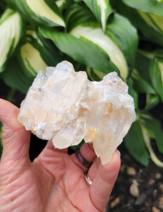 Faden Quartz with Lithium and Iron from Santander, Colombia