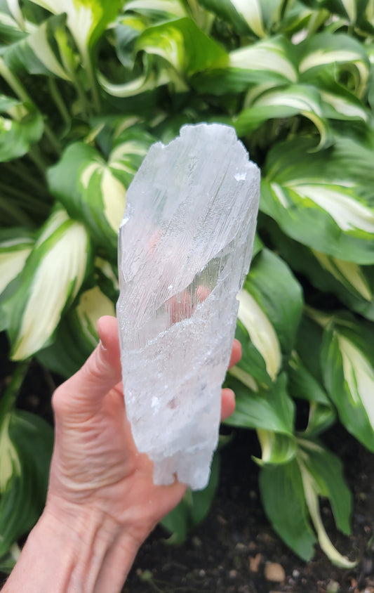 Selenite from Mexico