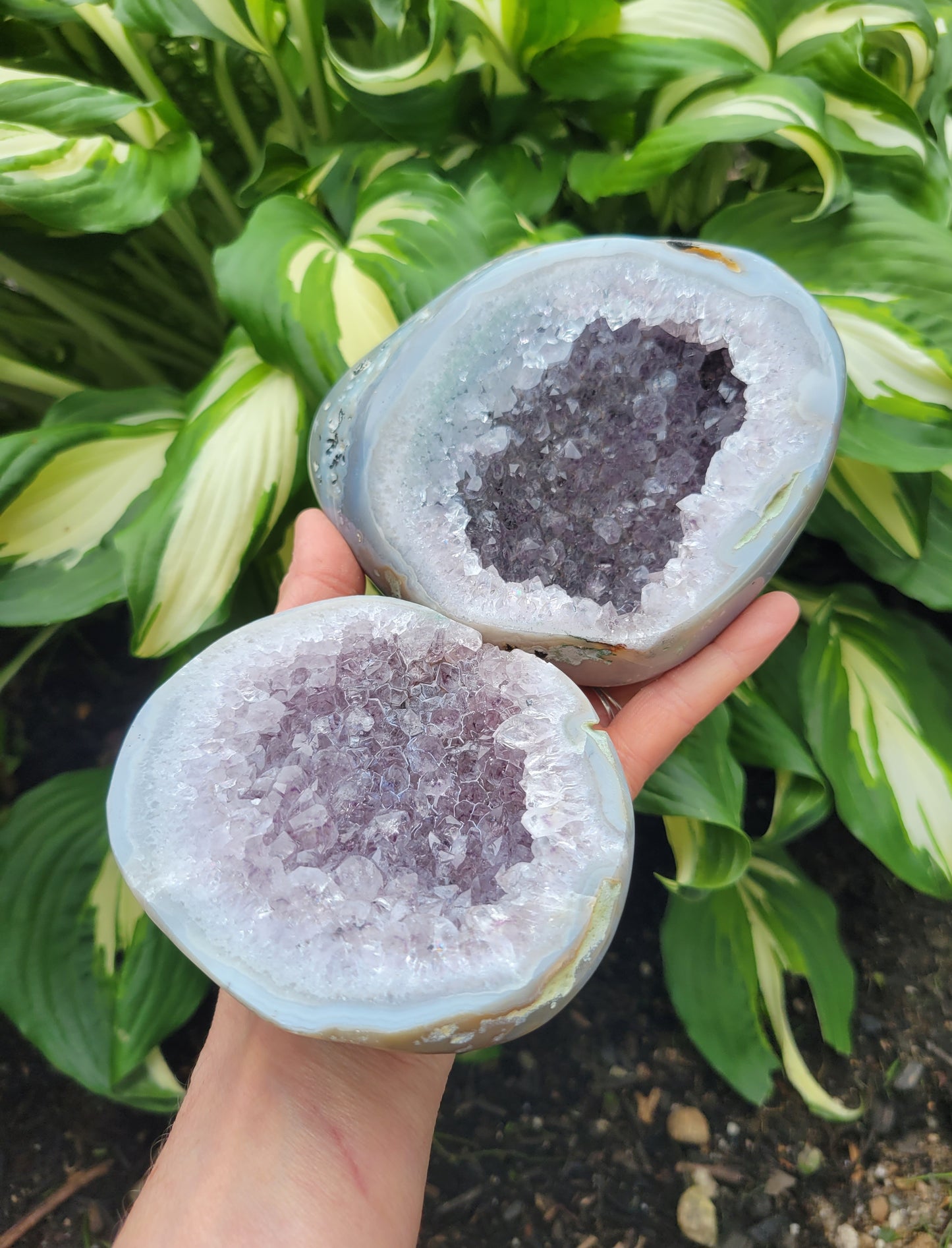 Amethyst Agate Box from Brazil