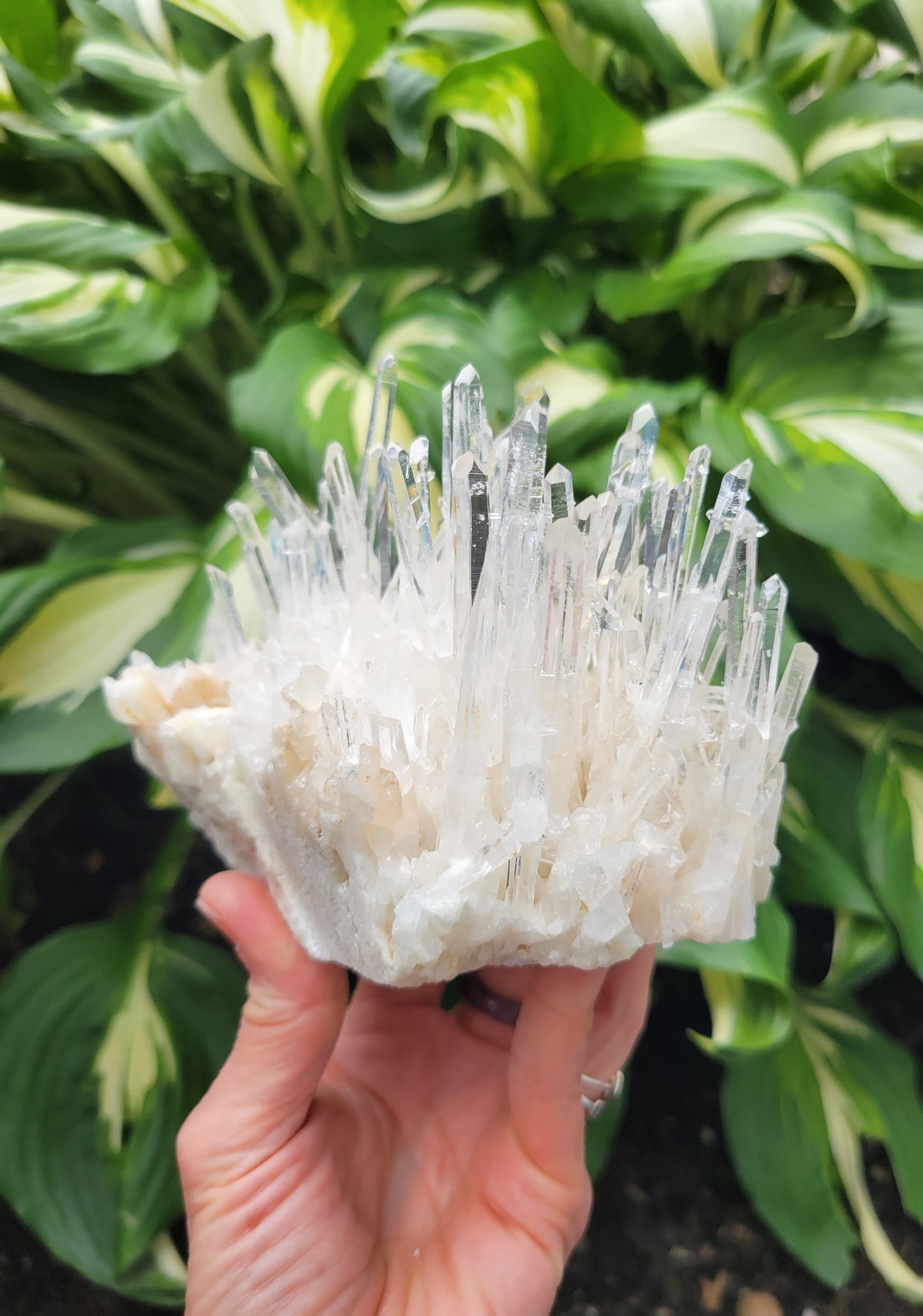 Quartz from Santander, Colombia