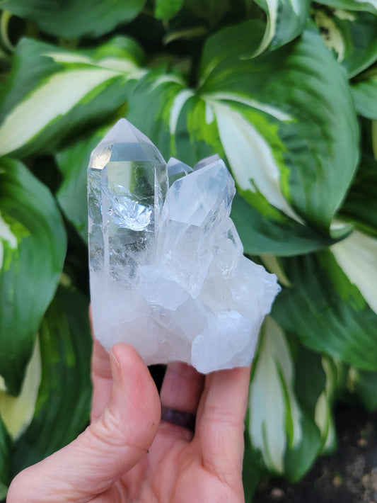 Quartz Cluster from Brazil