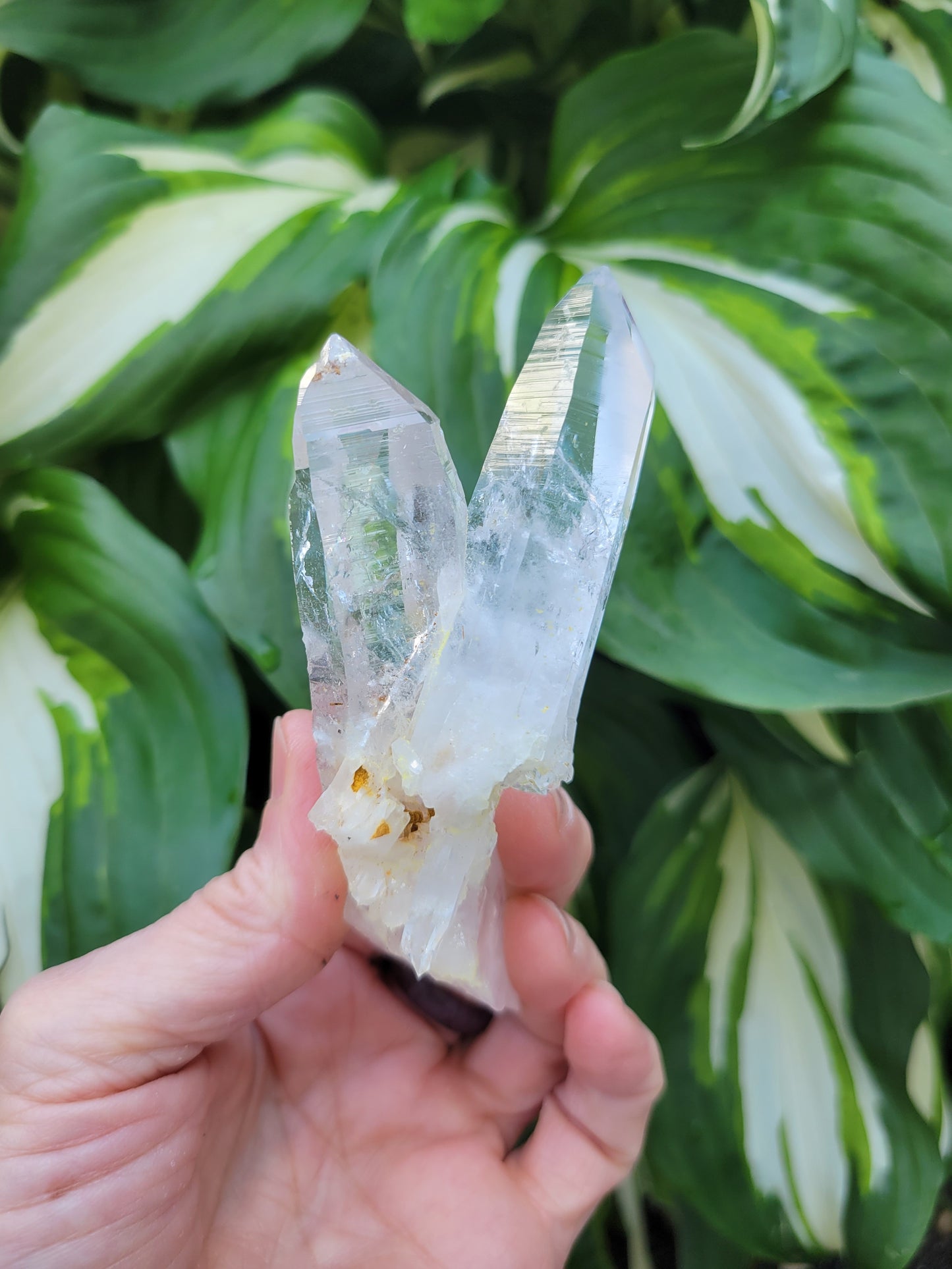 Lemurian Quartz Twin from Colombia